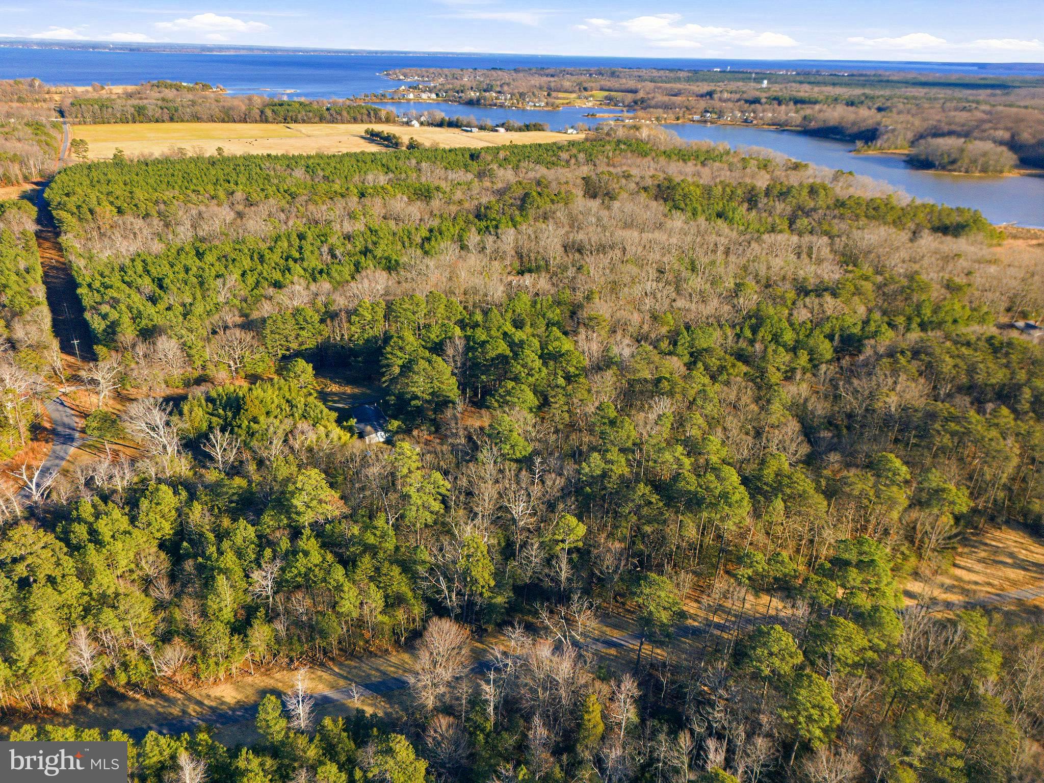 At last—an affordable waterfront and water-access opportunity on Rosier’s Creek, just minutes from the open waters of the Potomac River.
This beautiful waterfront community features pleasantly level lots with a gentle slope down to the water, offering the perfect balance of usability and scenic beauty. Rosier’s Landing provides a rare chance to enjoy protected creek frontage with quick access to the Potomac River.
Each homesite includes a deeded boat slip at the community dock, making boating, fishing, and waterfront living effortless and convenient. The community is thoughtfully designed with a single cul-de-sac, enhancing privacy while maintaining easy access.
Only six exclusive lots are available:


Three interior homesites, with up to 6 acres and 


Three waterfront homesites, approximately 6 acres each. Every lot has been surveyed and comes with an approved septic location. All available on request. 


Enjoy modern conveniences including high-speed internet and state-maintained roads all the way to the community cul-de-sac. Ideally located just minutes from the new Route 301 bridge and a short drive to I-95, Rosier’s Landing offers both tranquility and accessibility.
Prices start at $249,900.
With limited availability, these exceptional homesites will not last long.
You may bring your own builder or work with one of our preferred local custom home builders to build the waterfront home of your dreams. Schedule your personal tour today and experience waterfront living at Rosier’s Landing.  Tax Map 28-25A
