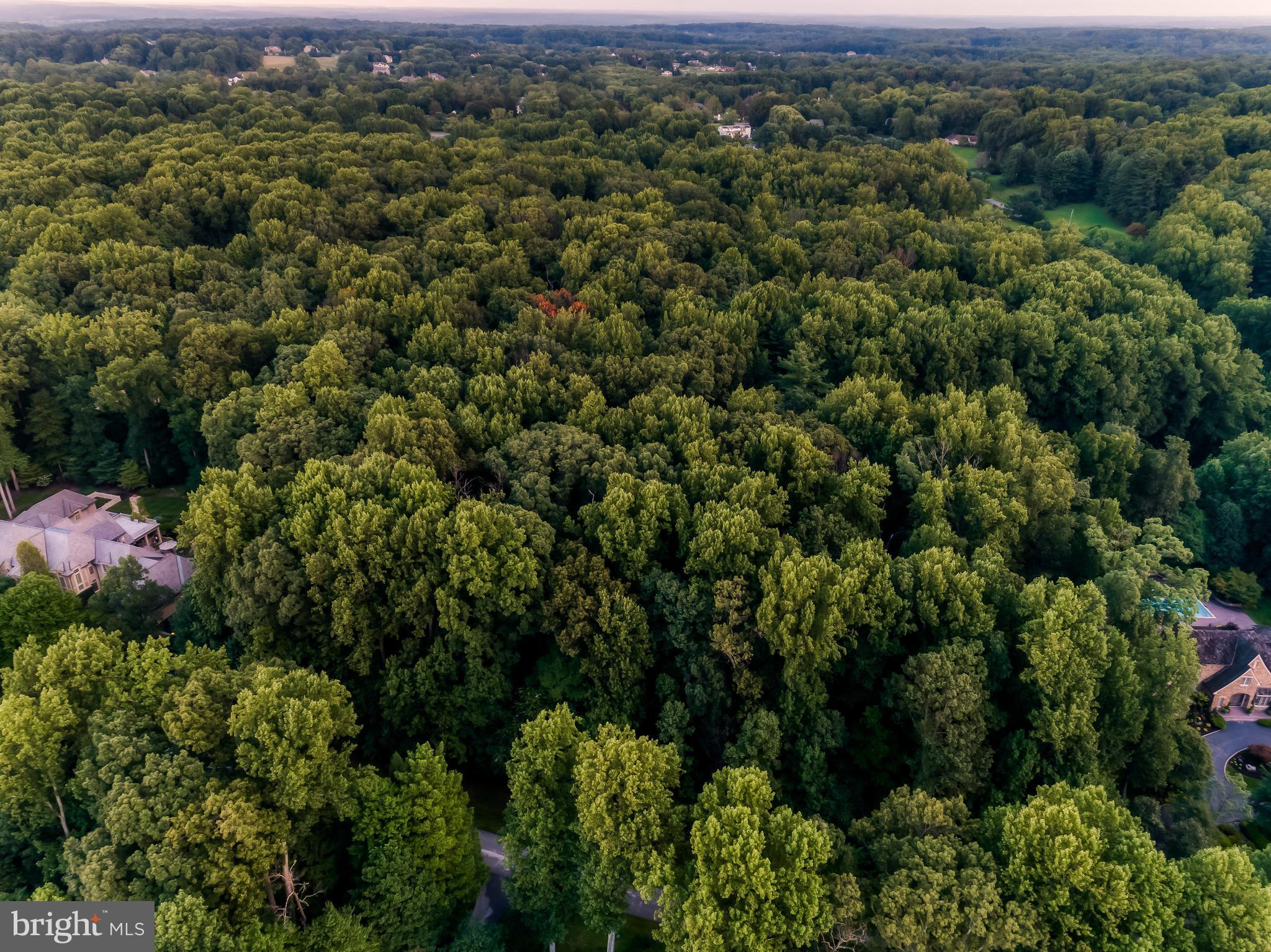 CAVES VALLEY GOLF CLUB - Land