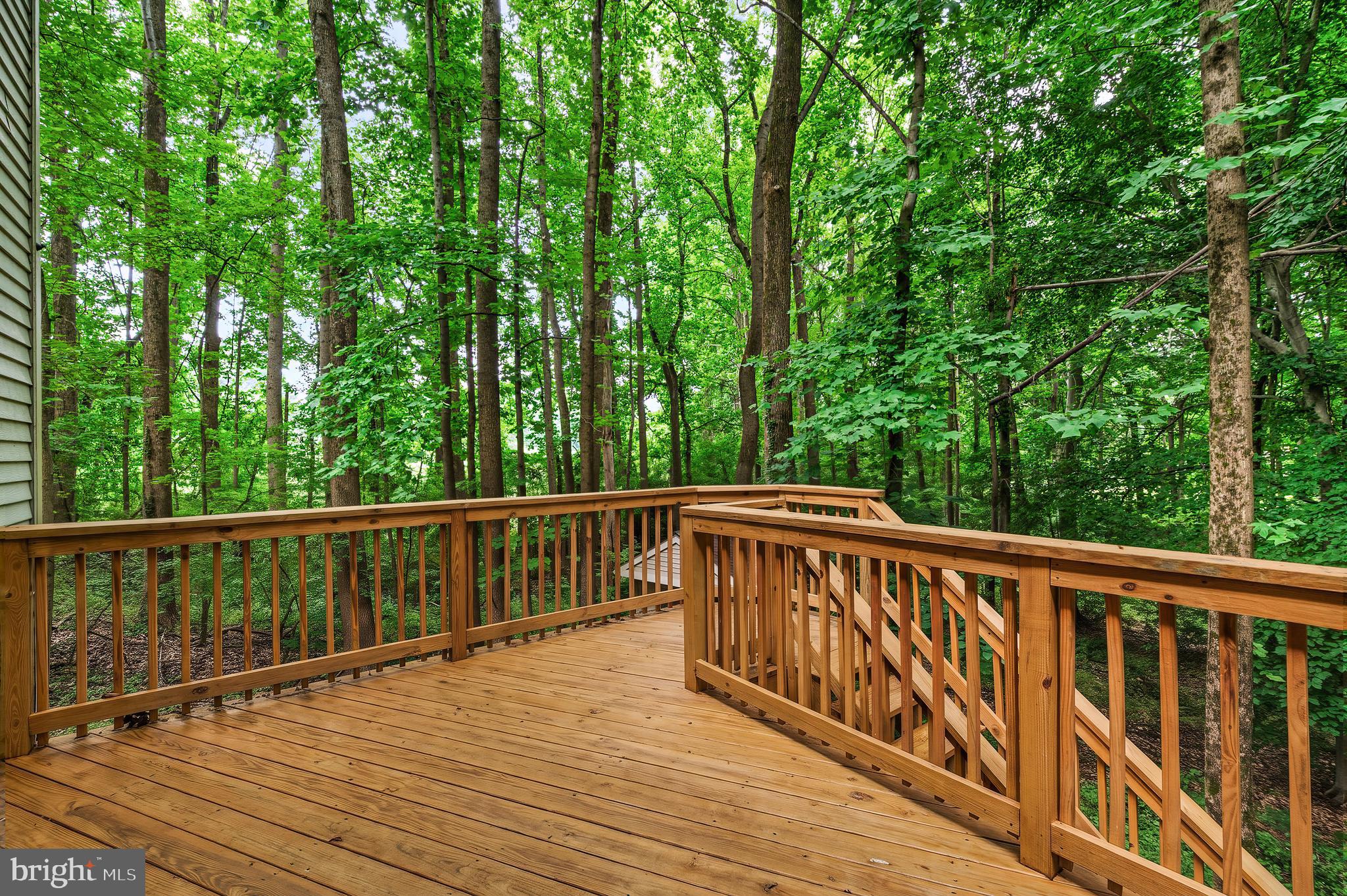 PATUXENT RUN - Residential