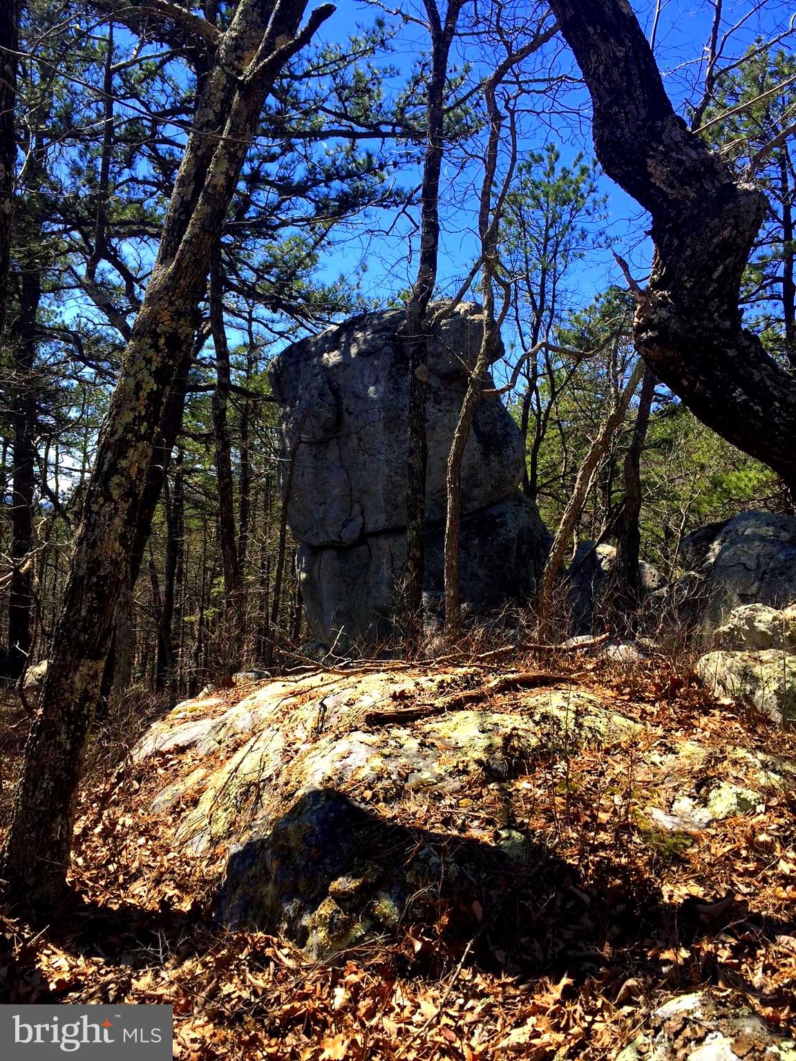 RIVER RIDGE - Land