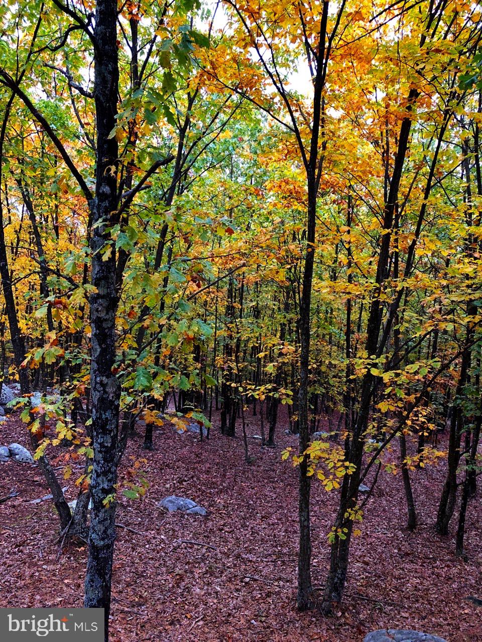 RIVER RIDGE - Land
