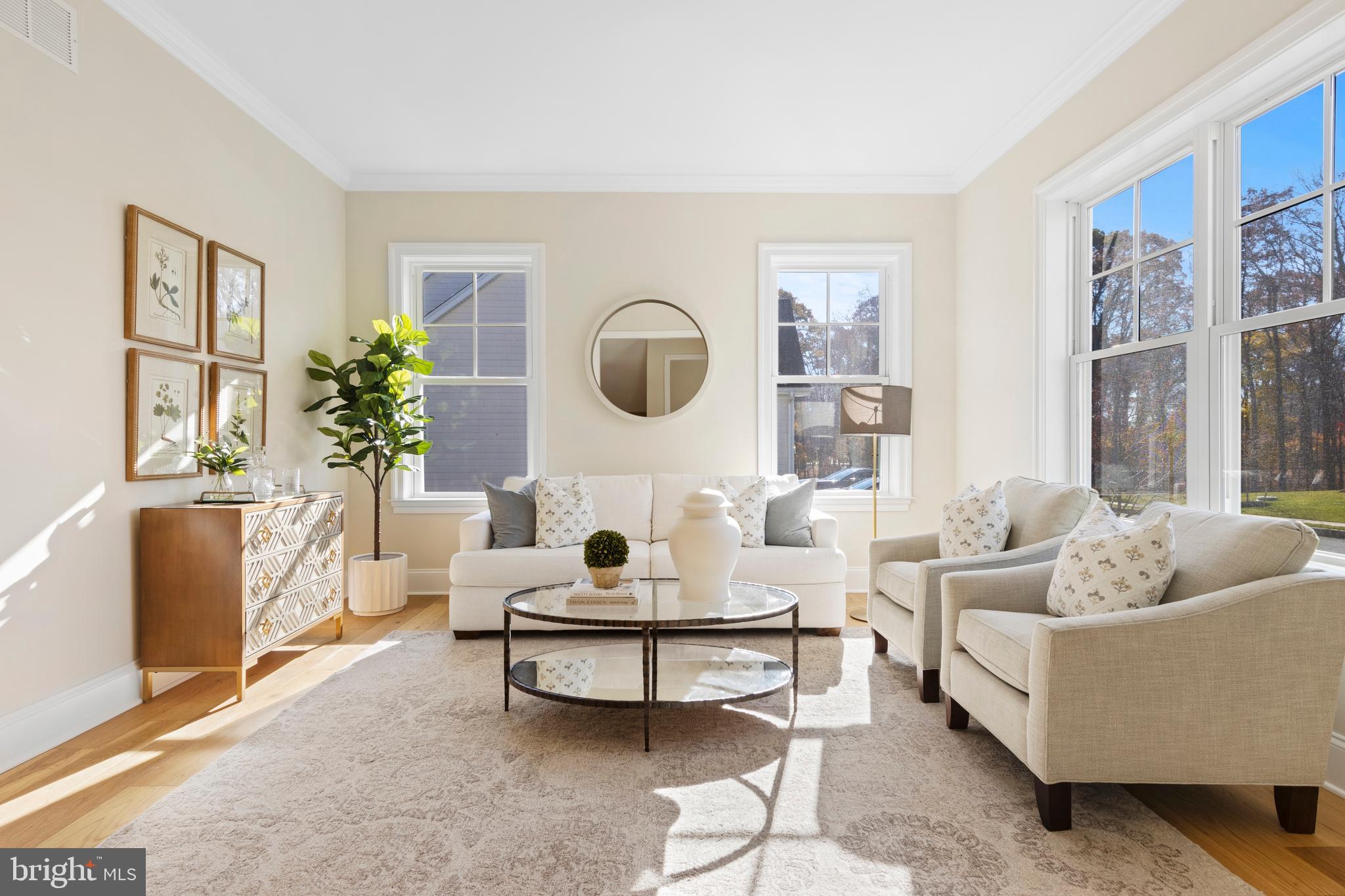 MILLSTONE MEADOWS - Residential