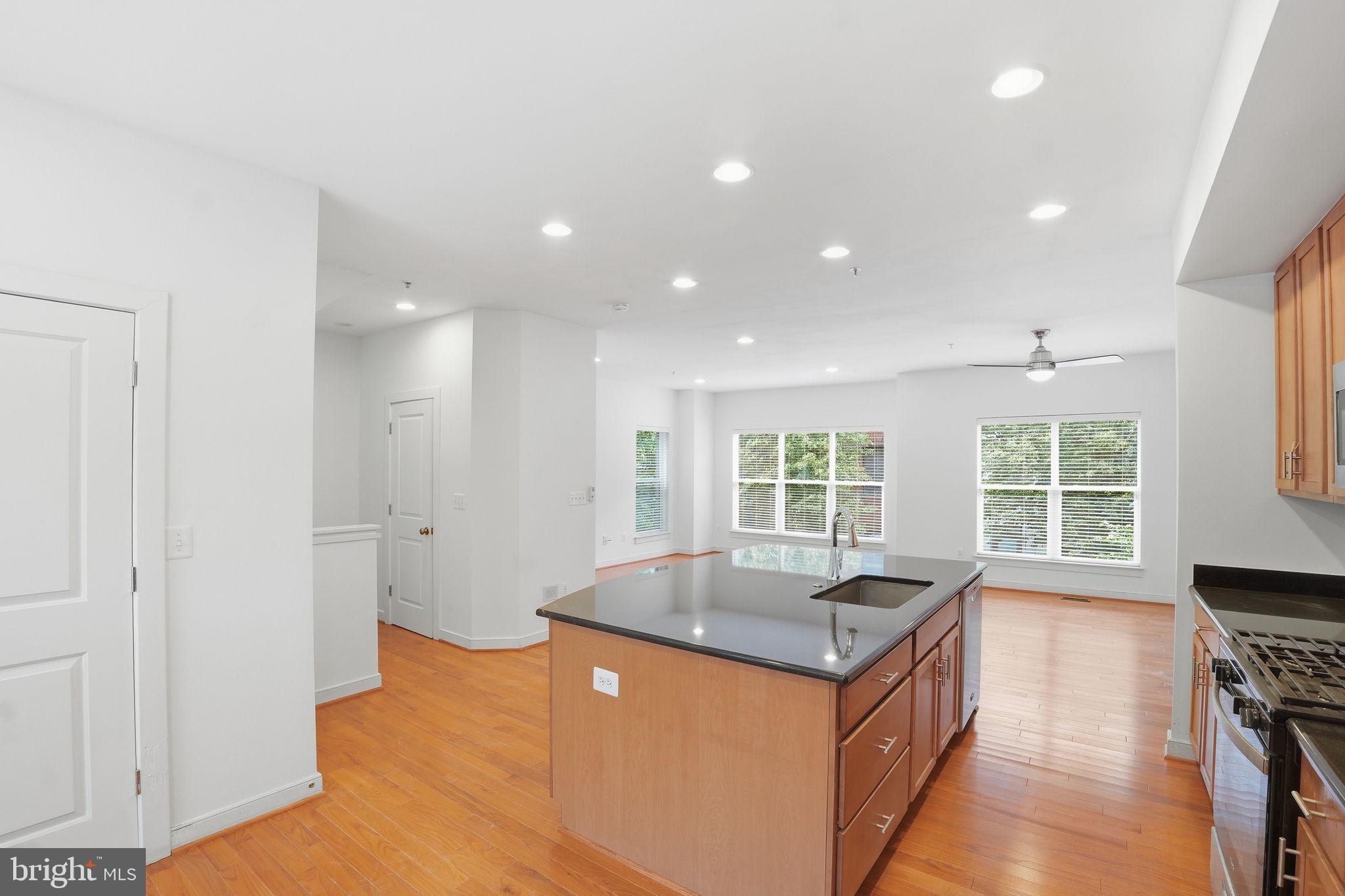 ARTS DISTRICT HYATTSVILLE - Residential