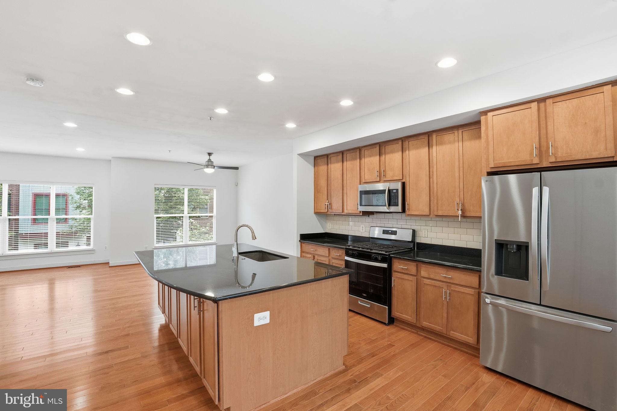 ARTS DISTRICT HYATTSVILLE - Residential