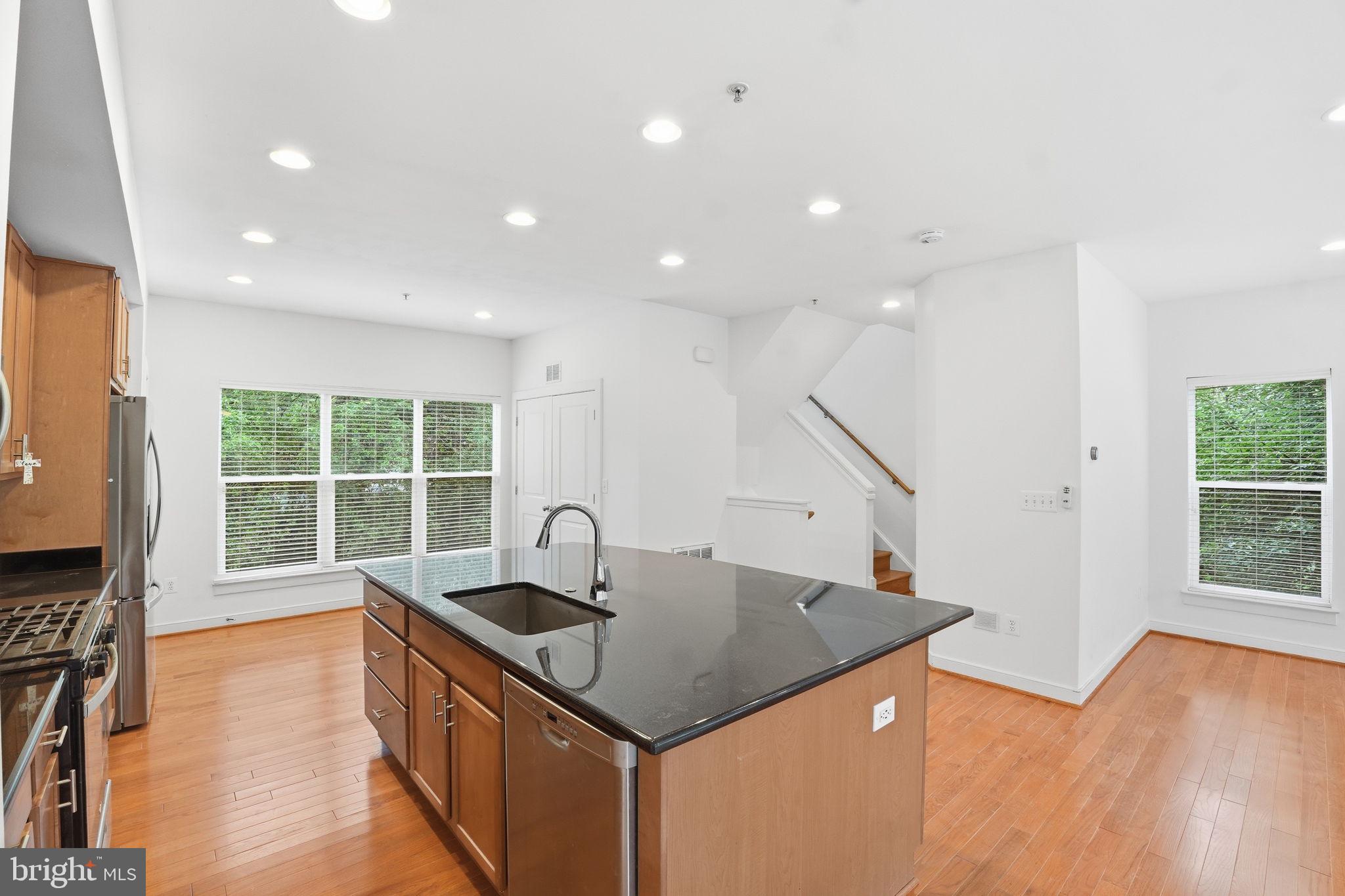 ARTS DISTRICT HYATTSVILLE - Residential