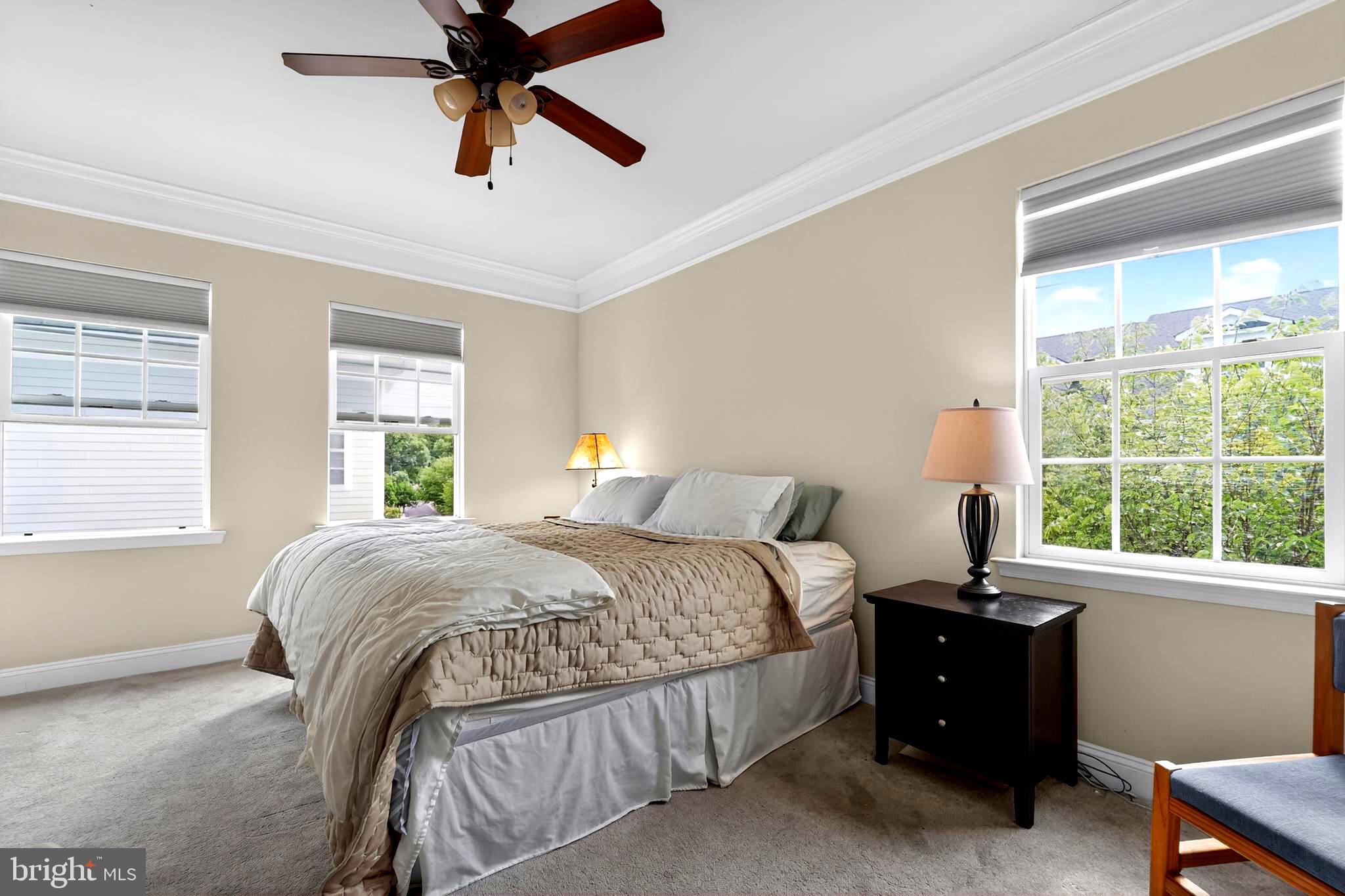 TOWSON GREEN - Residential