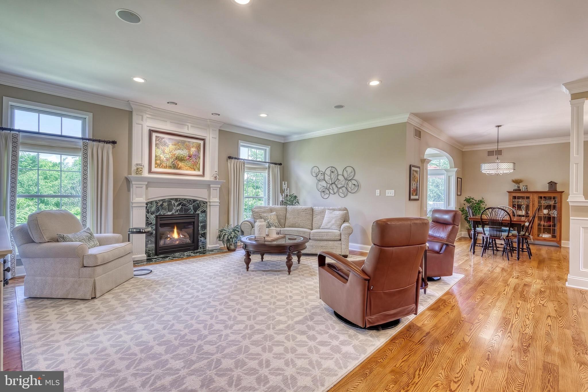 OLDE FORGE ESTATES - Residential