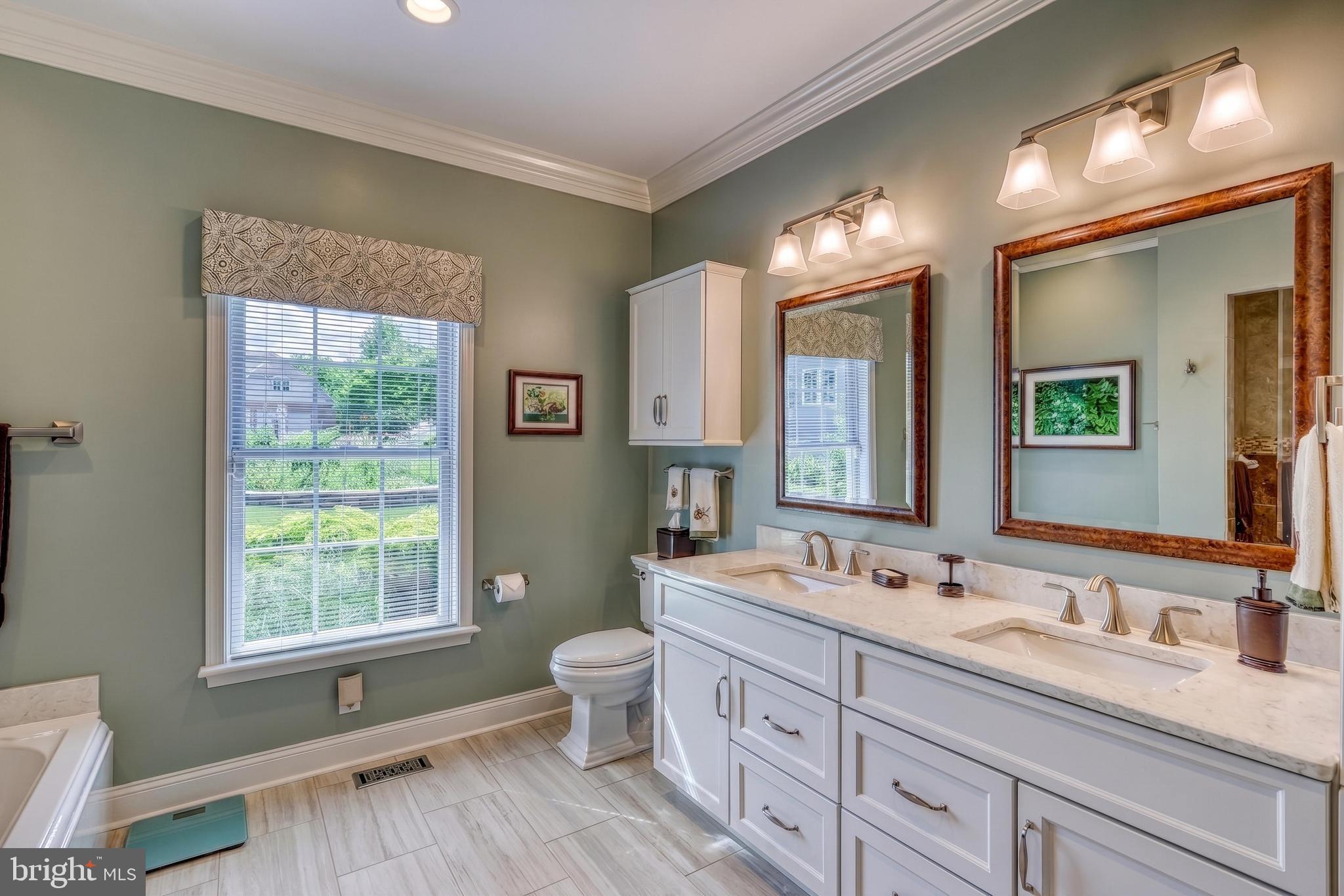 OLDE FORGE ESTATES - Residential