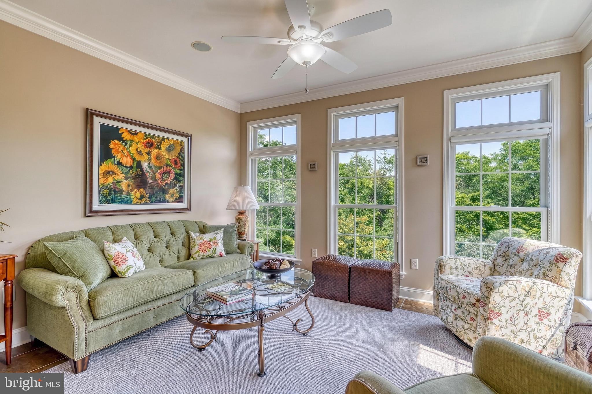 OLDE FORGE ESTATES - Residential