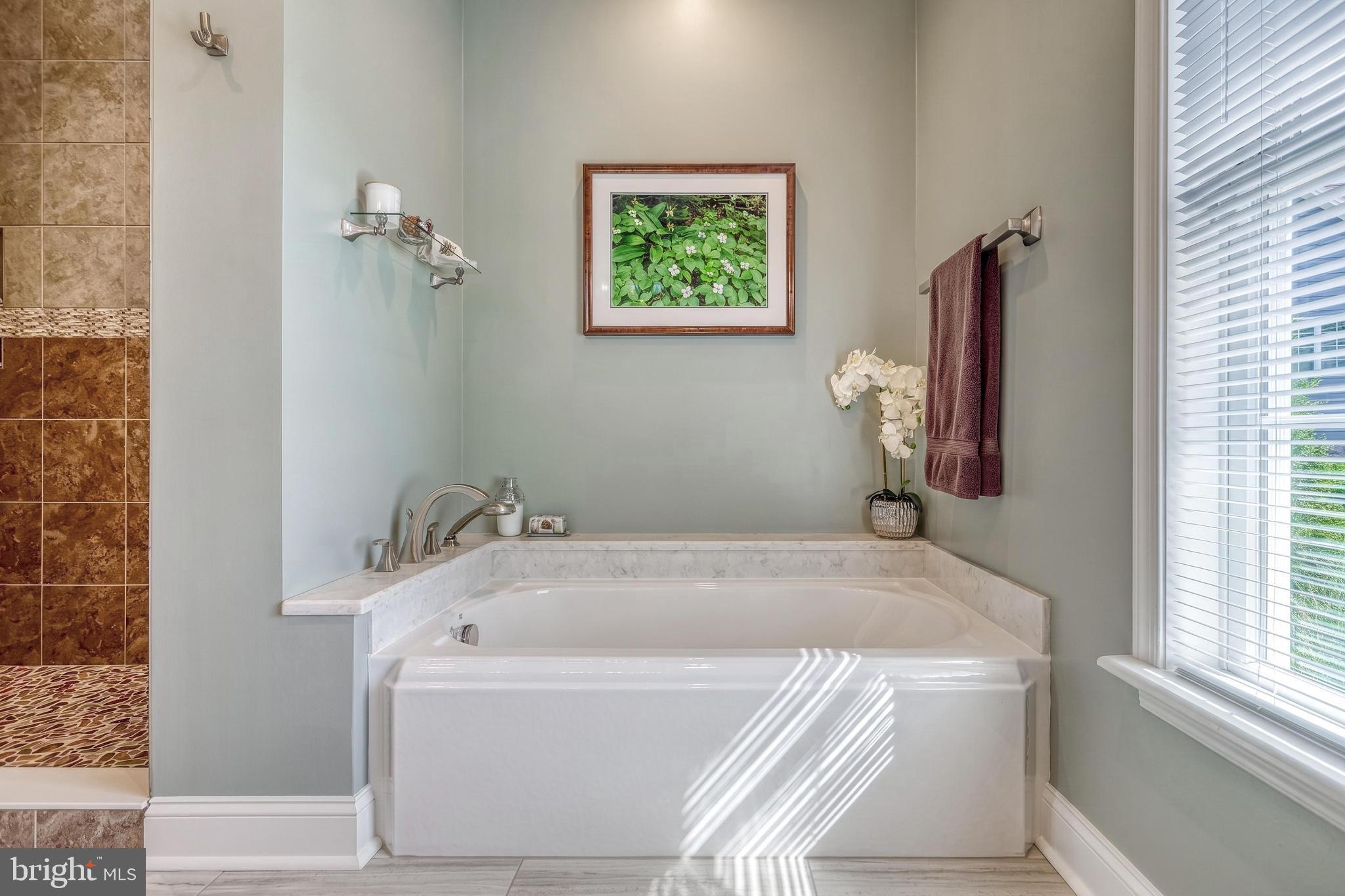 OLDE FORGE ESTATES - Residential