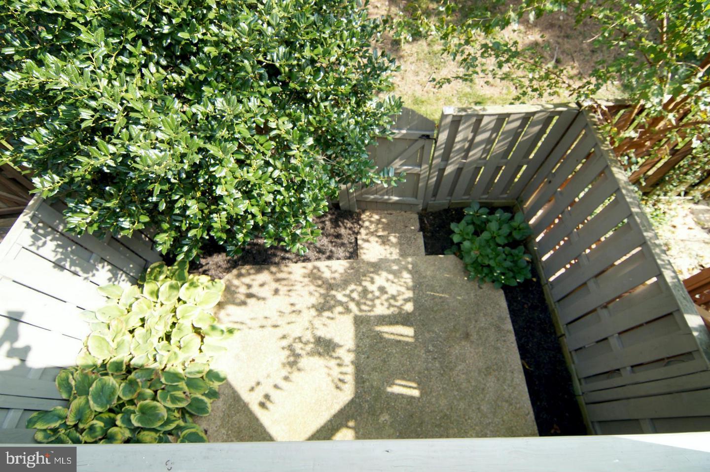 PINECREST - Residential Lease