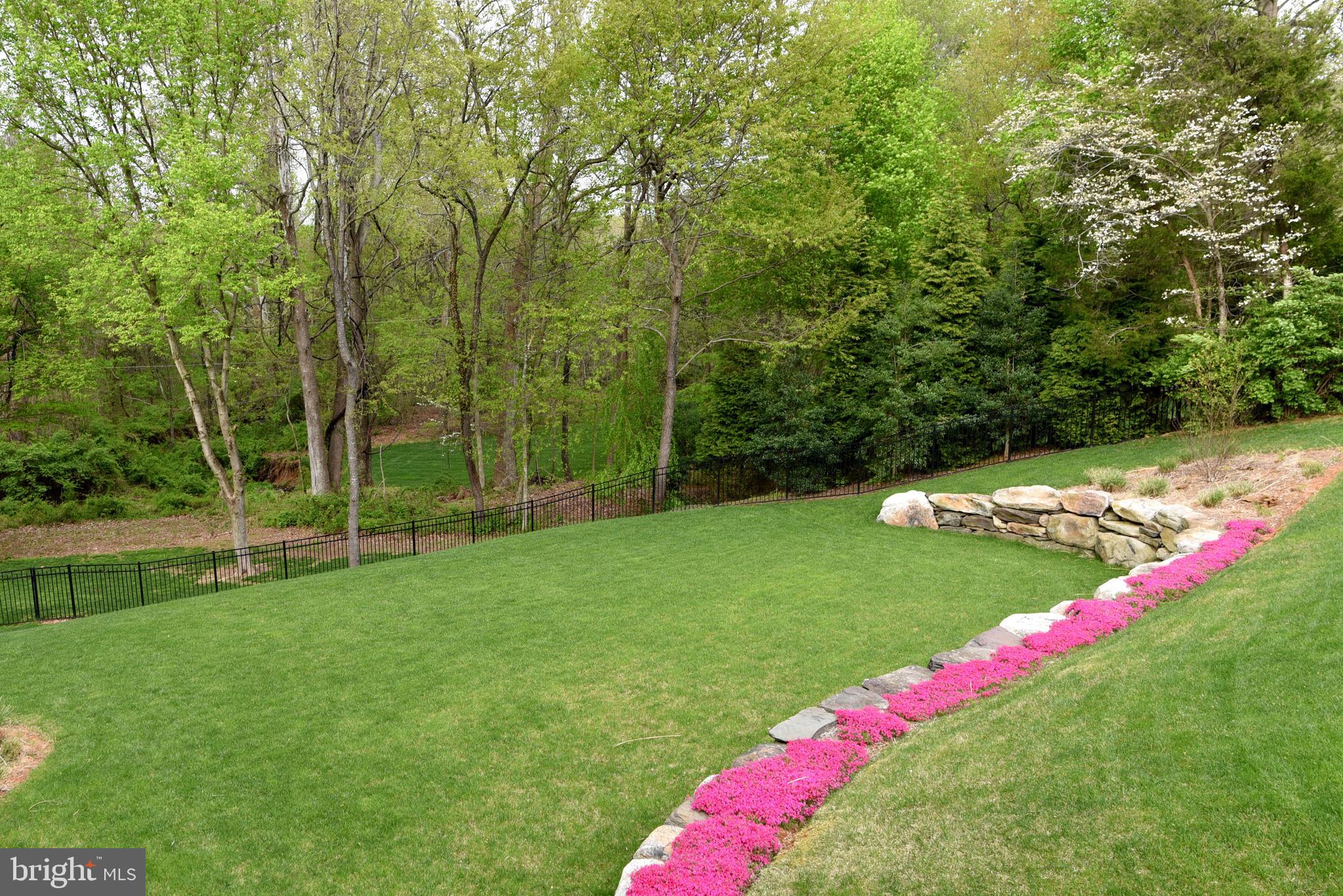 GEORGETOWN PLACE - Residential
