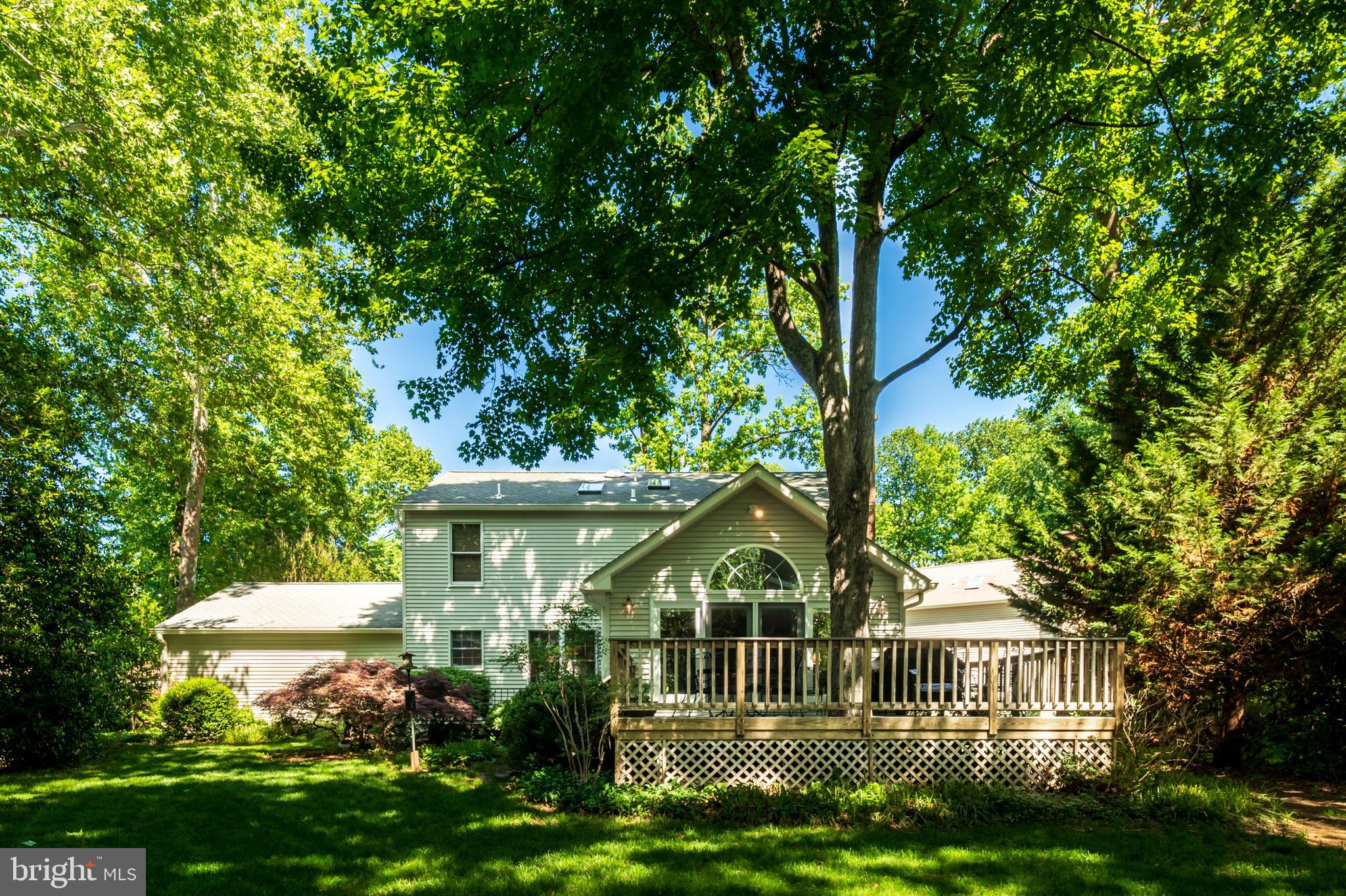 RIVA TRACE - Residential