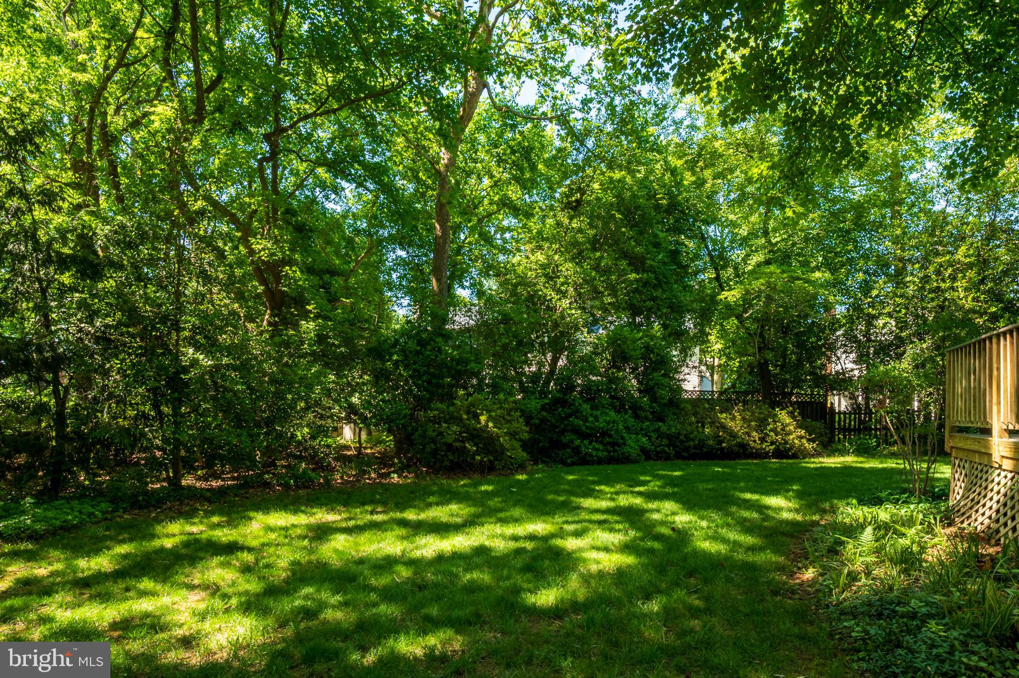 RIVA TRACE - Residential