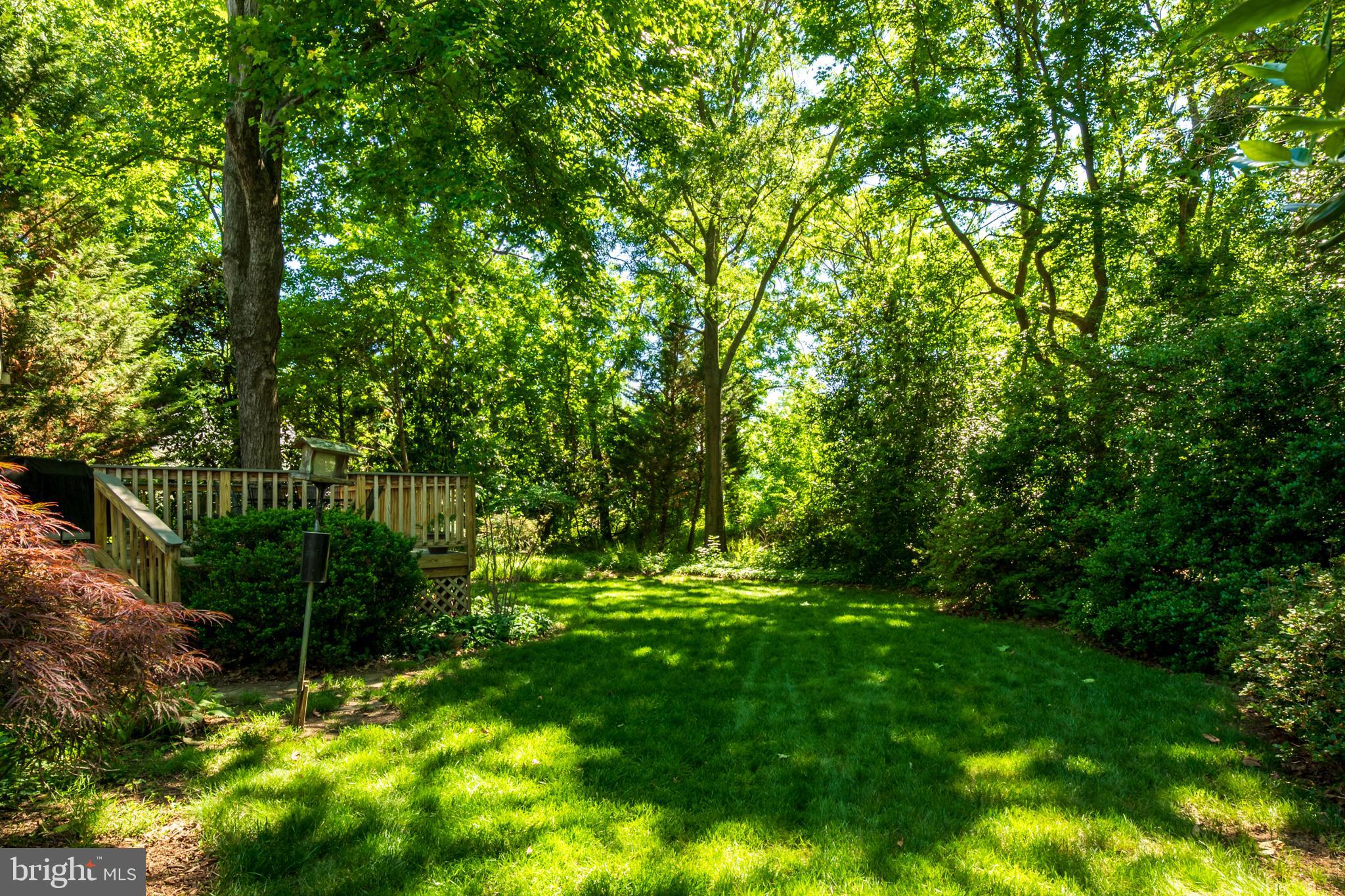 RIVA TRACE - Residential