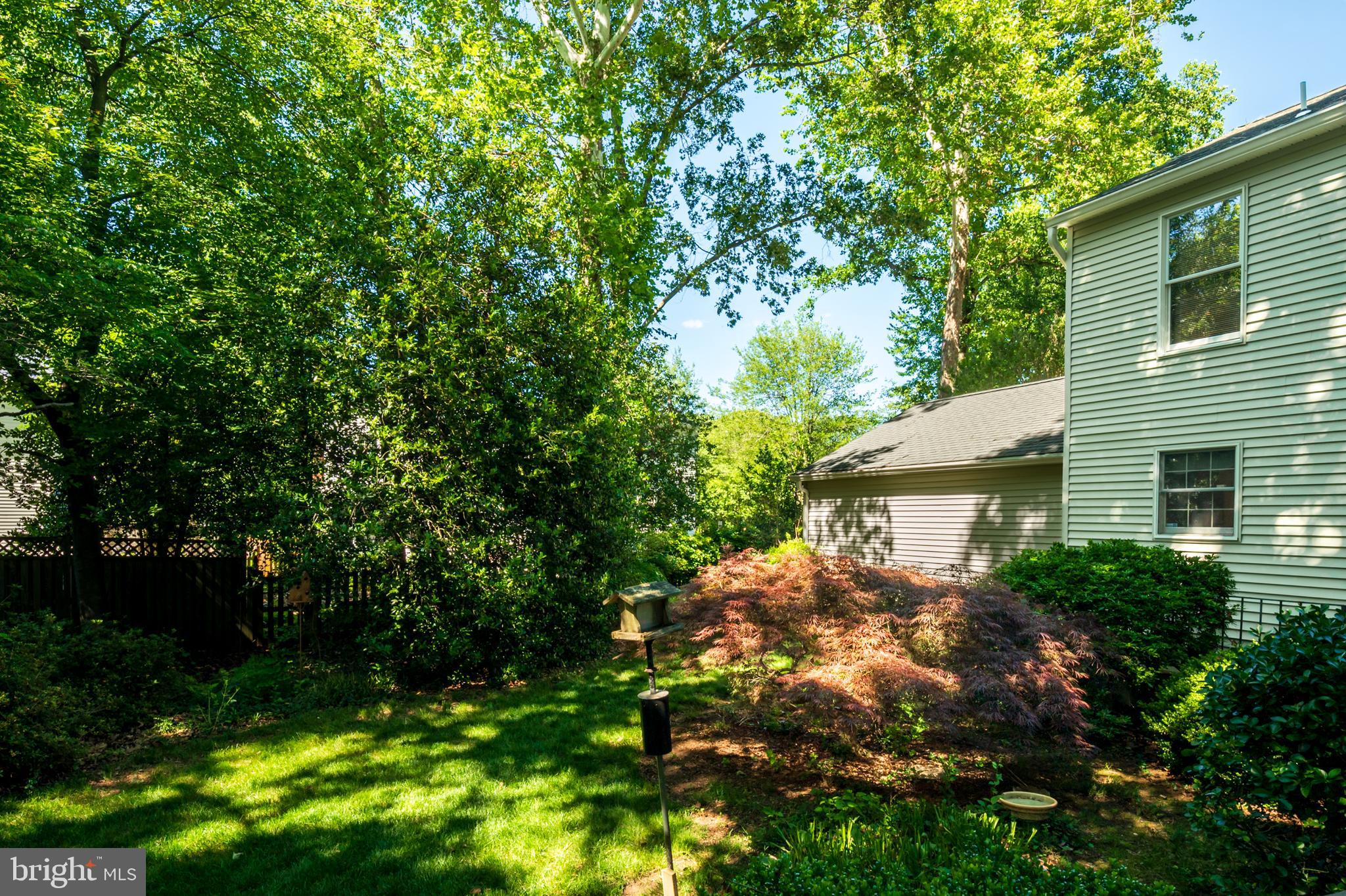 RIVA TRACE - Residential