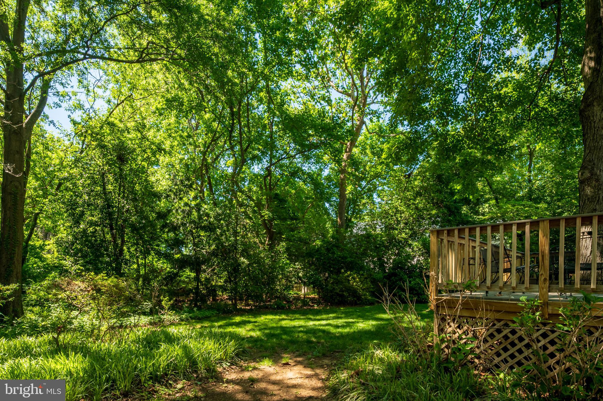 RIVA TRACE - Residential