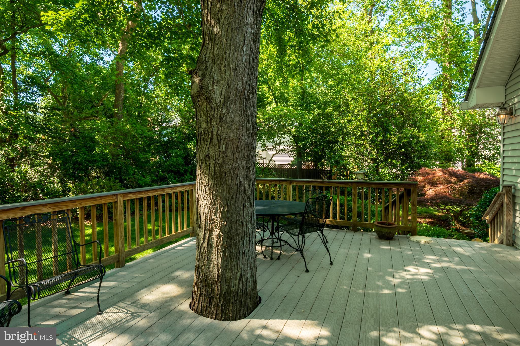 RIVA TRACE - Residential