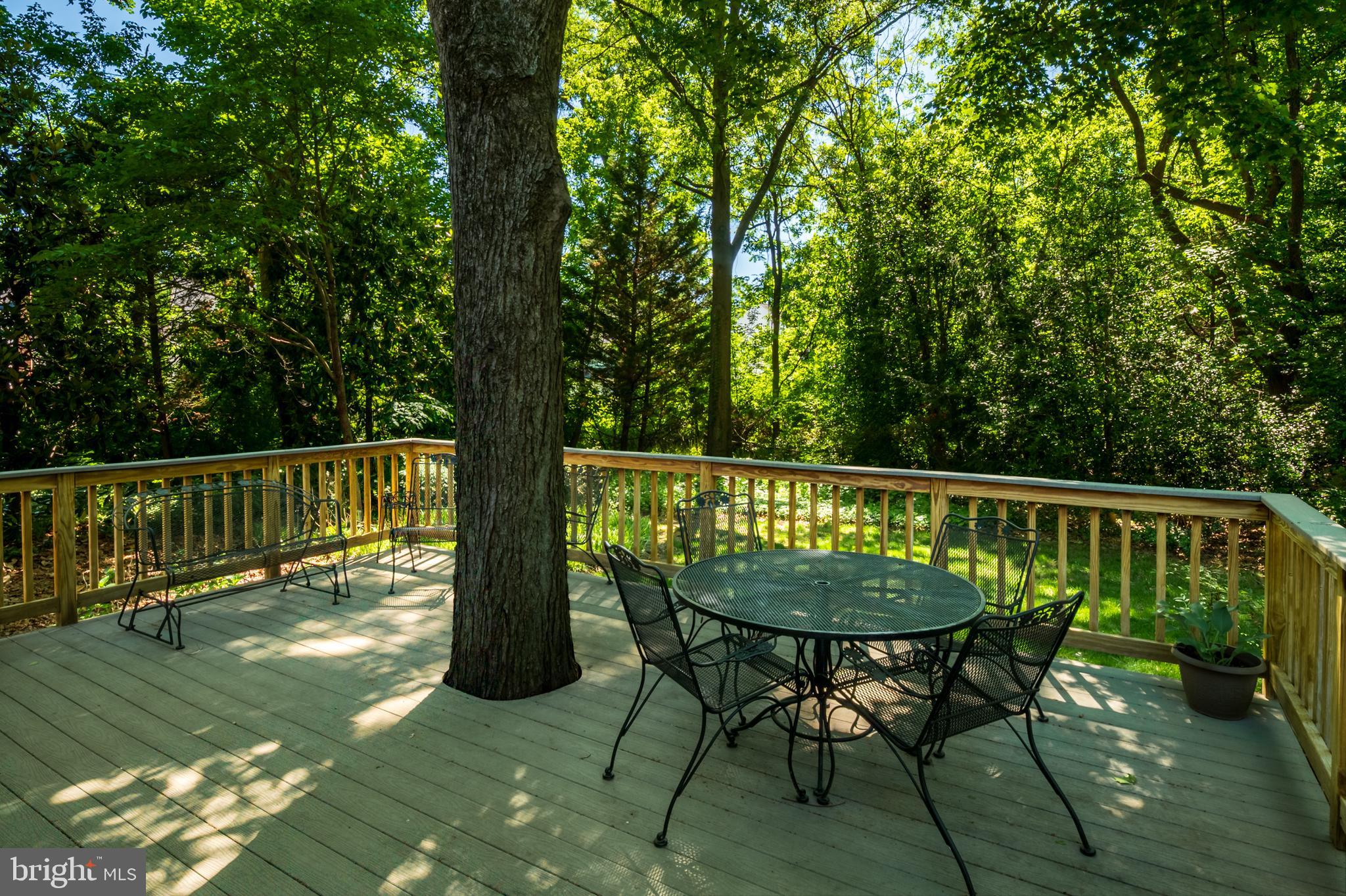 RIVA TRACE - Residential