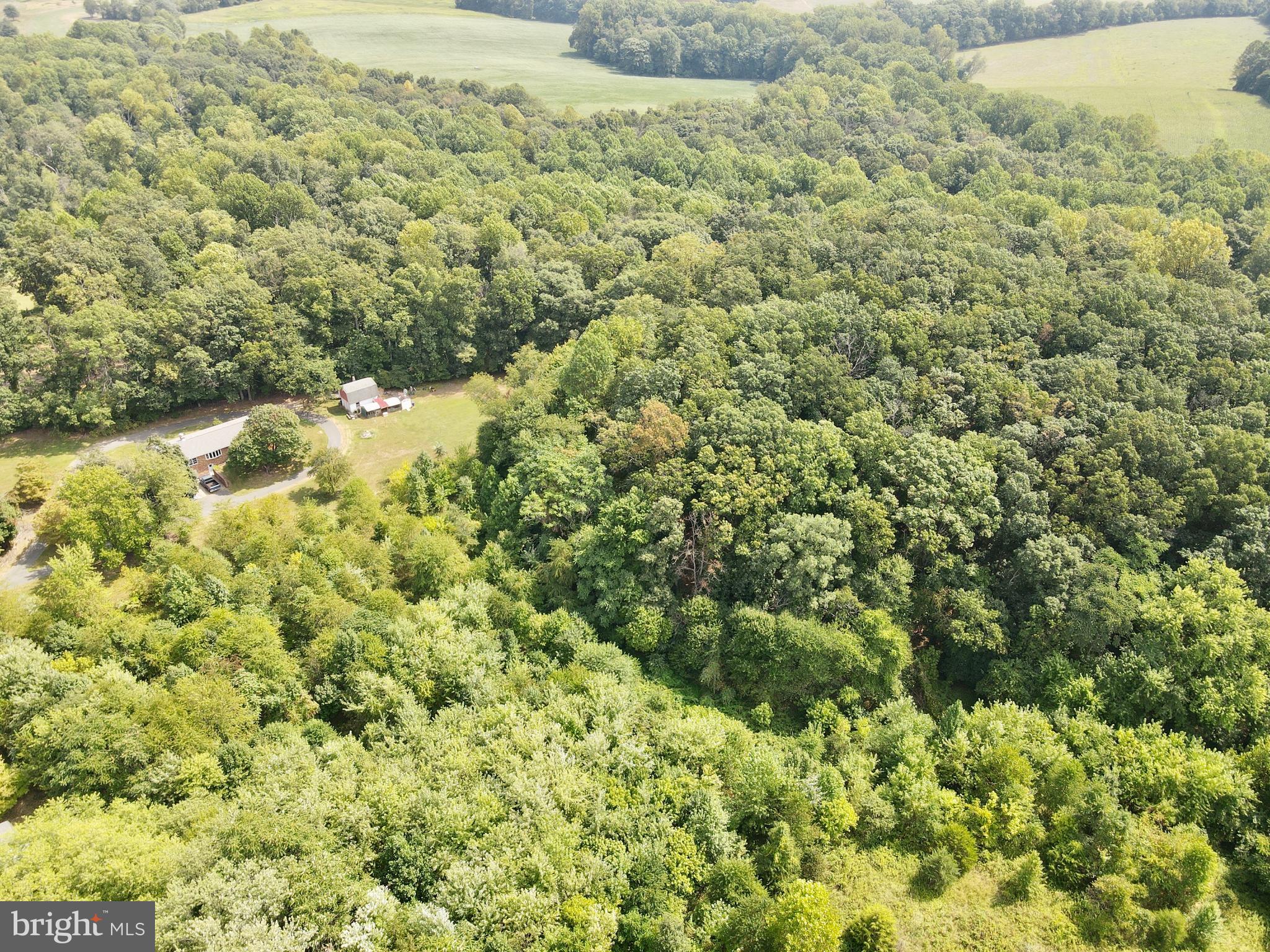 RATTLE RIDGE - Land