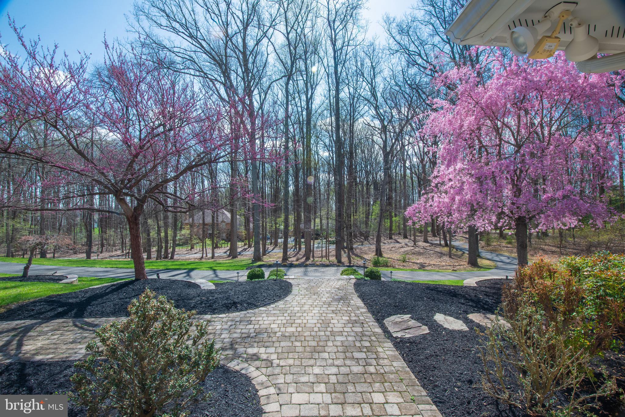 BUCKSKIN WOODS - Residential