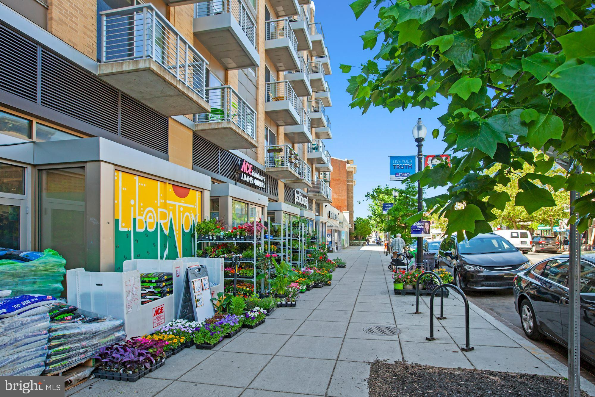 MOUNT PLEASANT - Residential