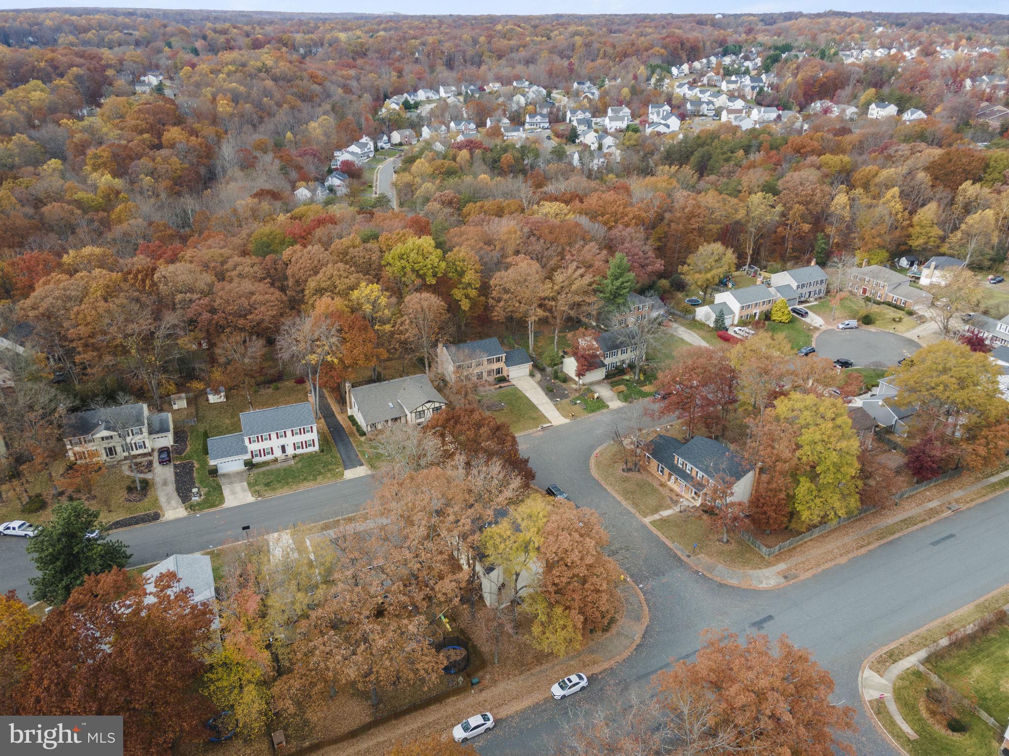 MONTCLAIR ST3 - Residential