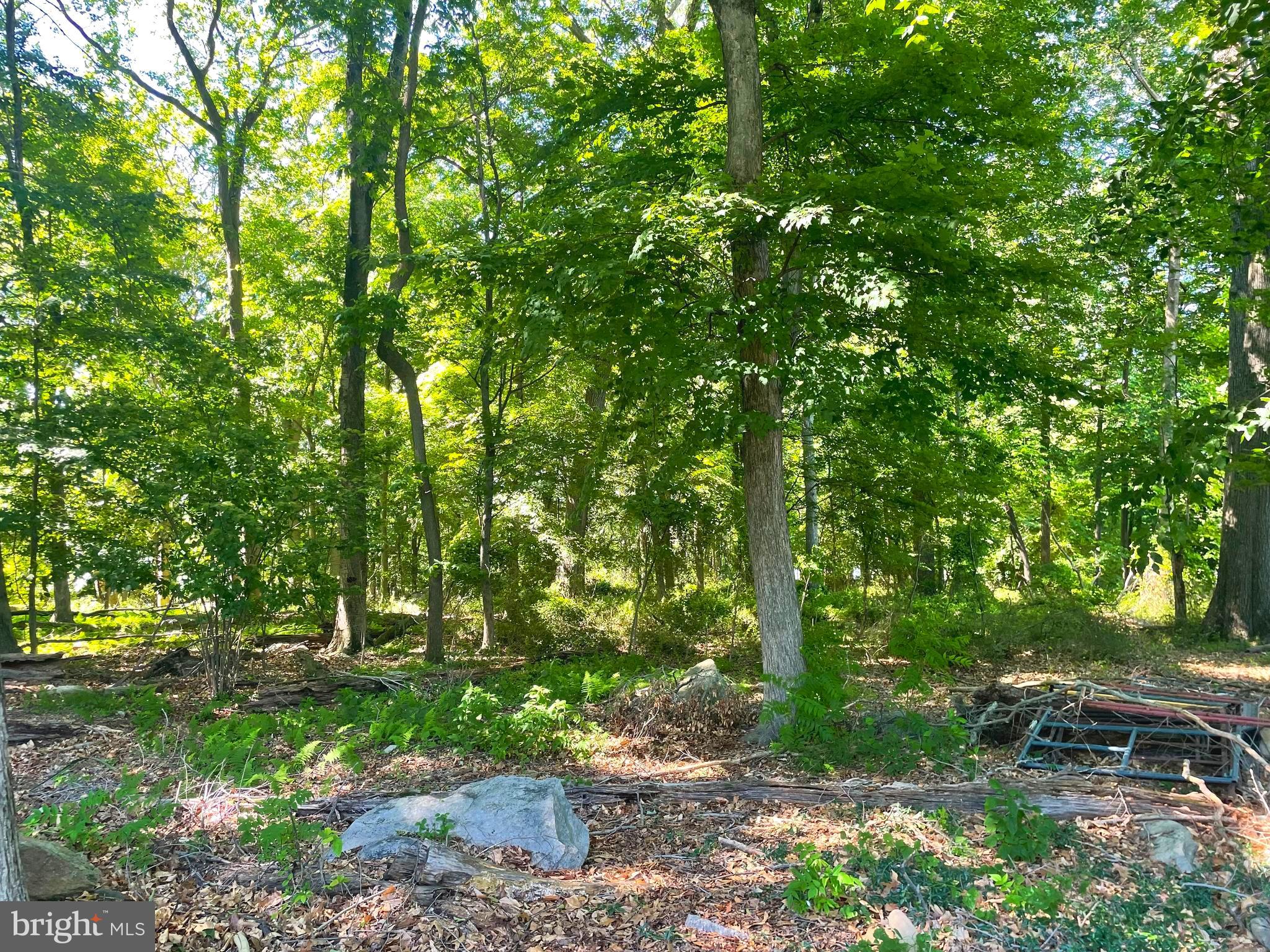 OAK TREE FARMS - Residential