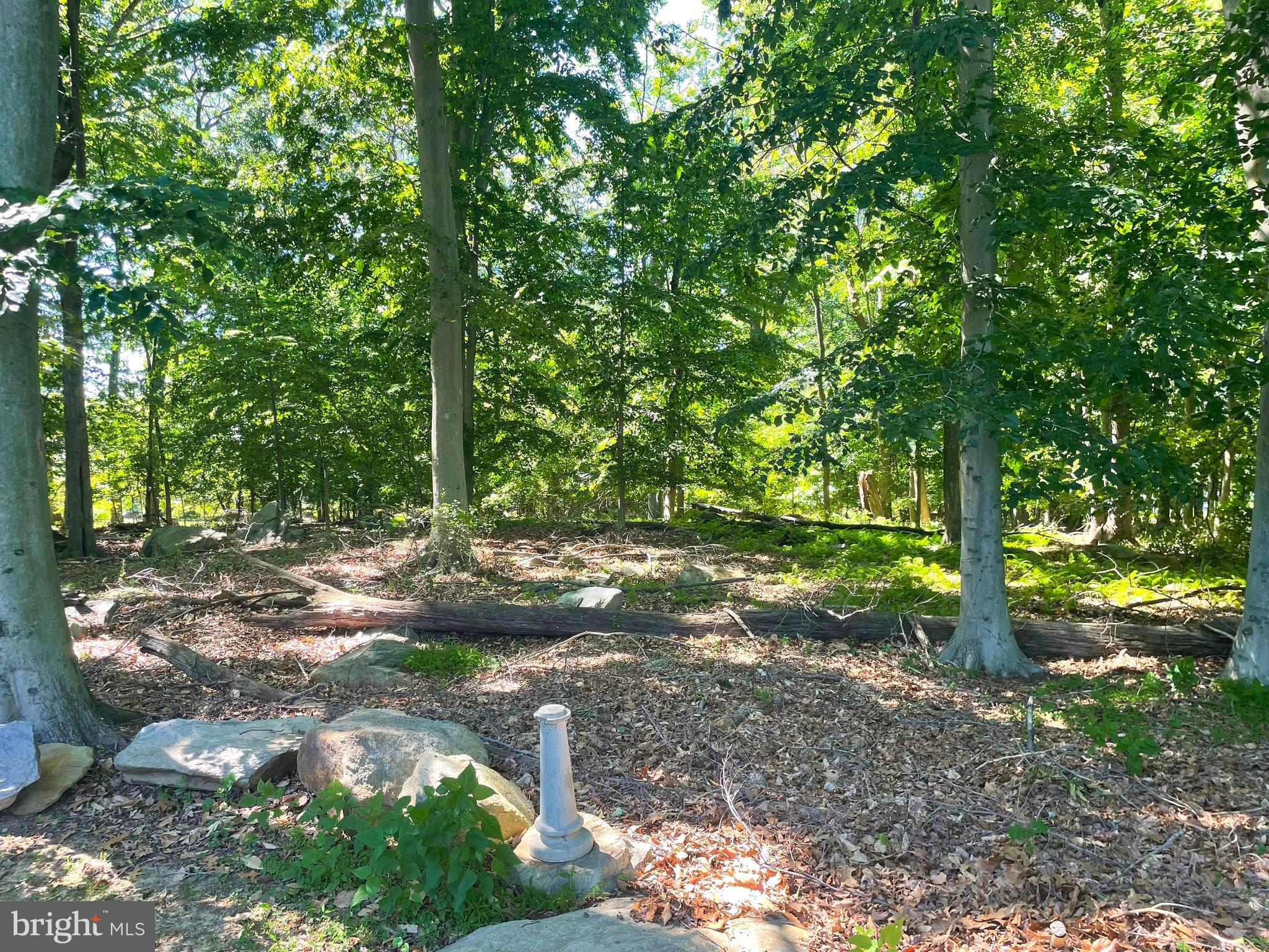 OAK TREE FARMS - Residential