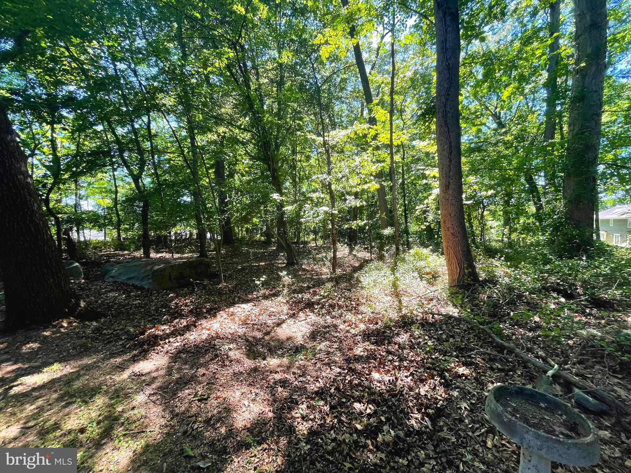 OAK TREE FARMS - Residential