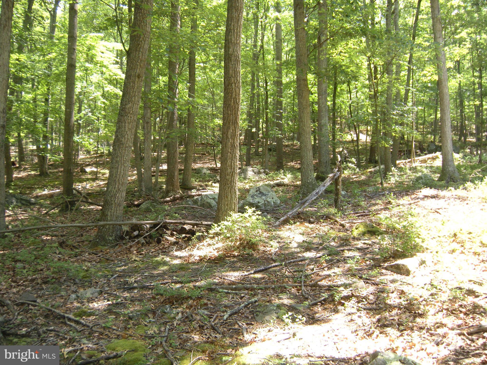 RITTERS HIDDEN VALLEY - Land