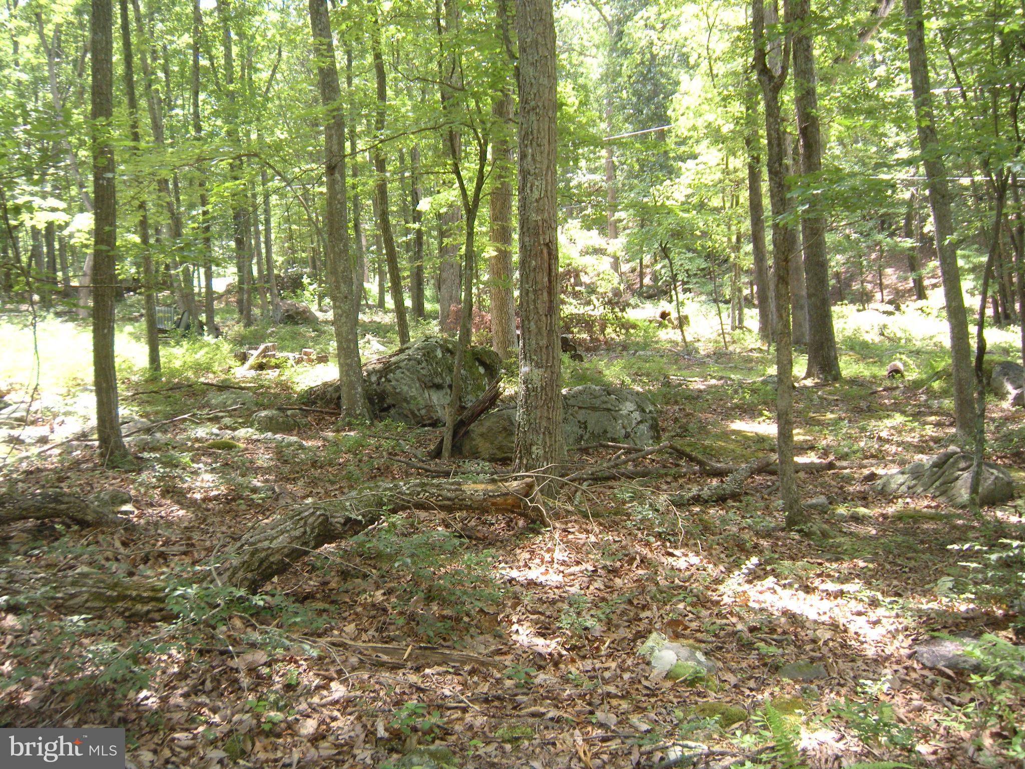 RITTERS HIDDEN VALLEY - Land