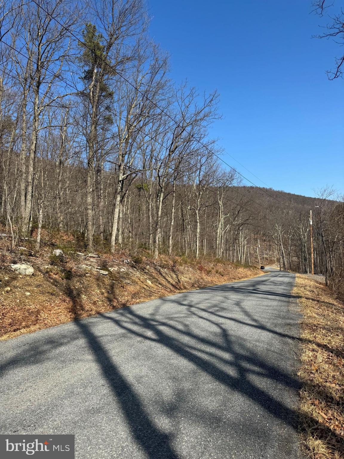 Welcome to Shawneeland!   This mountain community is tucked away in a rural setting  and a short distance to shopping, restaurants and Winchester's Historic Downtown.  Utilize this 0.48 acre lot as a potential building lot, recreational space or enjoy the amenities such as Lake Cherokee with a beach area, fishing and picnic areas.  Purchaser to verify location of boundary lines.