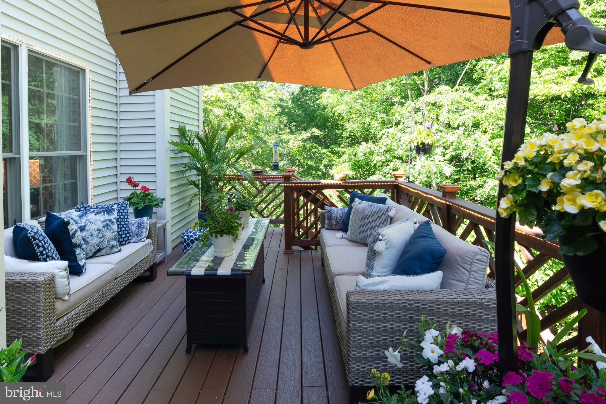 TOWNHOMES OF TIMBERLAND - Residential