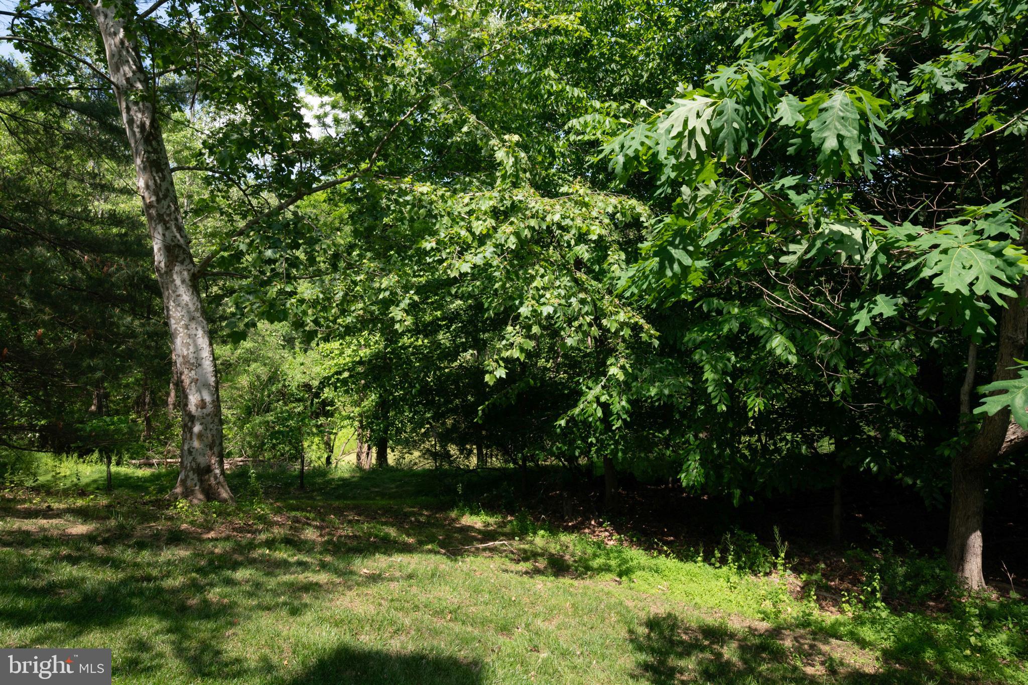 TOWNHOMES OF TIMBERLAND - Residential