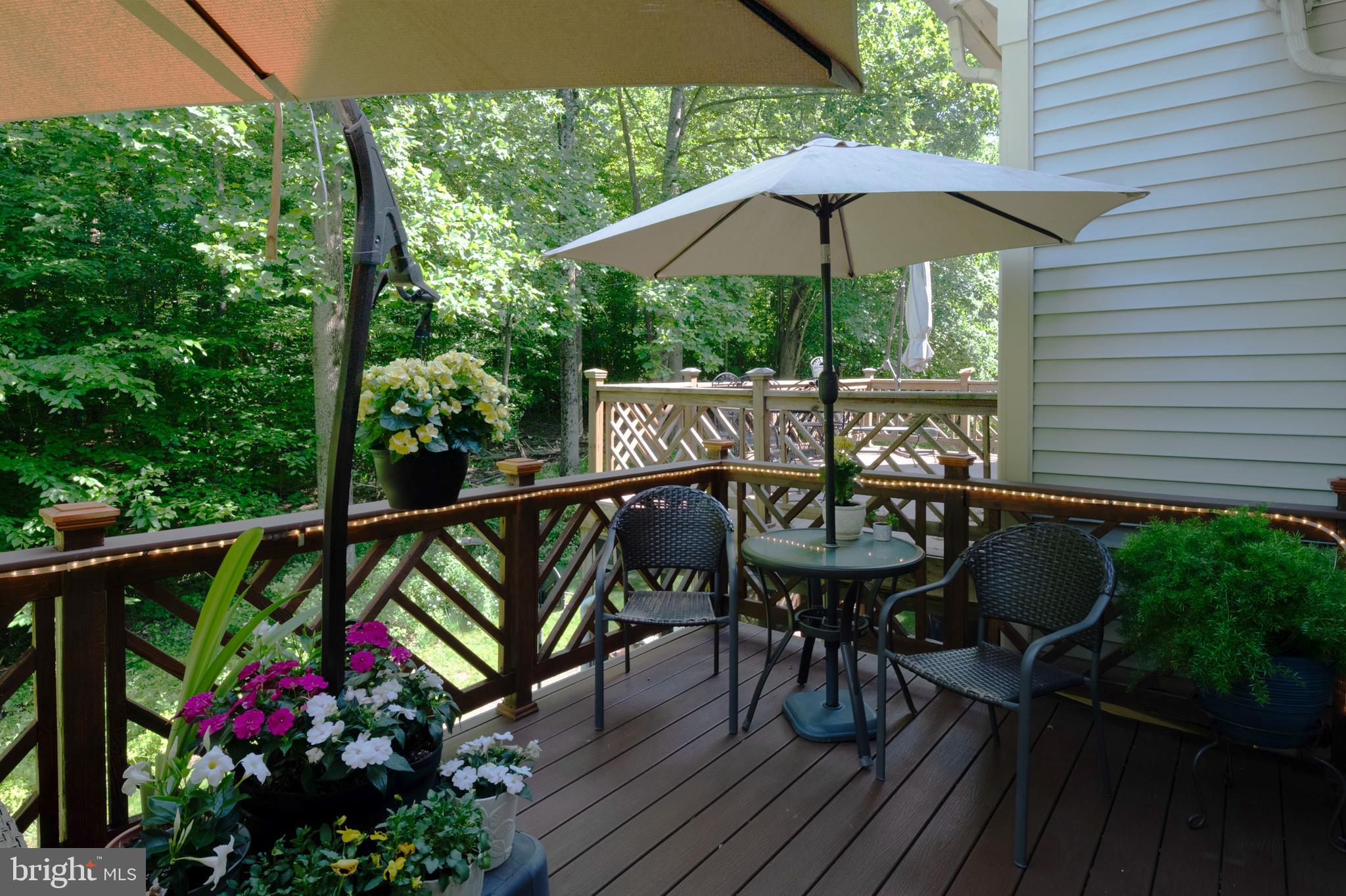 TOWNHOMES OF TIMBERLAND - Residential