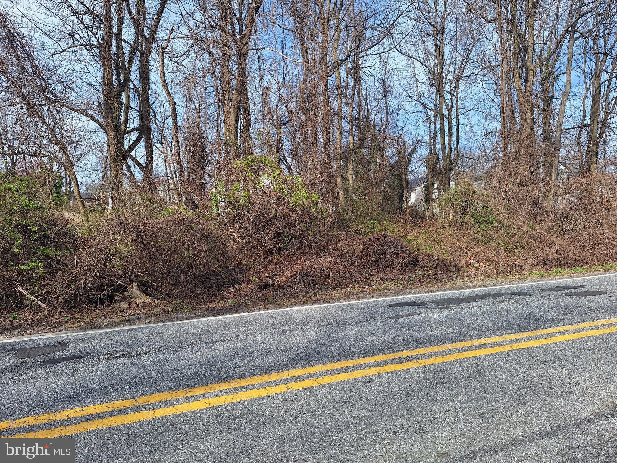 Single Family building lot. Recorded. Must be sold with lot next door at 1009 Rollins Ave. Settlement to be done at Title Max.