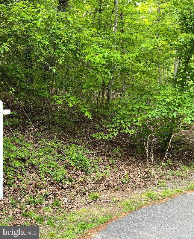 Vacant land suitable for building.  Size  9.752 acres. Enter through easement off Hidden Lane.  No HOA. Recent  PERC for 4 BR,  or 5 capable.