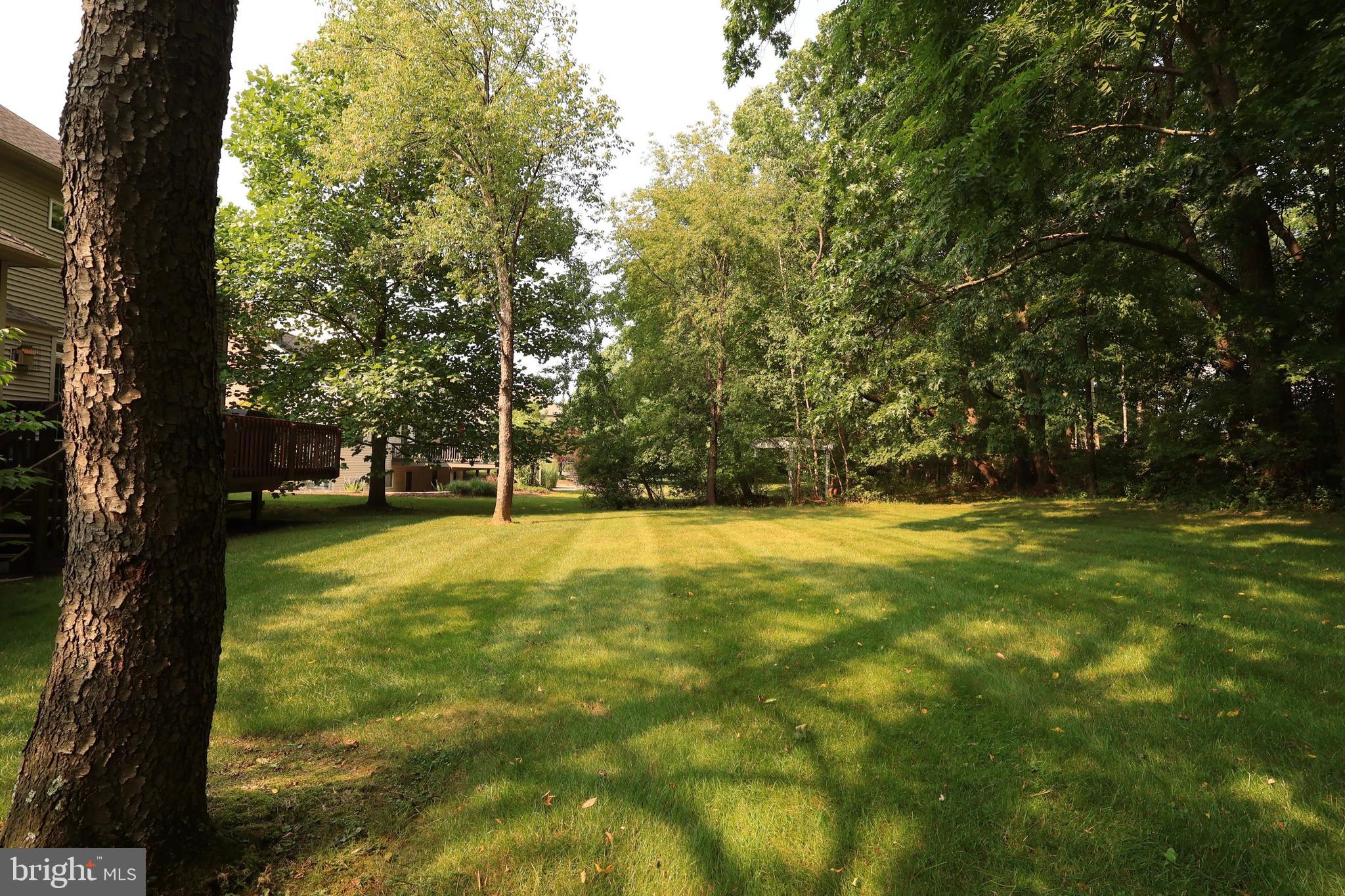 THOMPSON WOODS - Residential