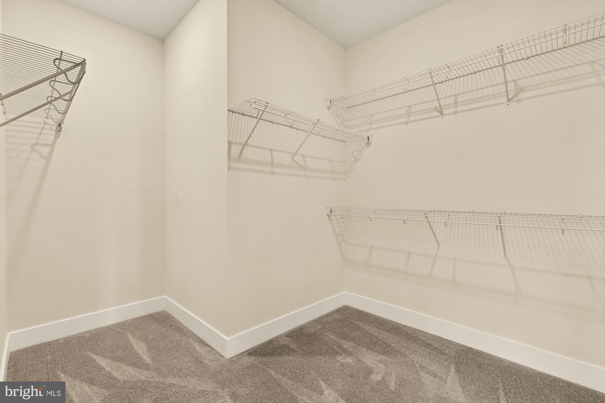 BLUE STREAM - Residential Lease