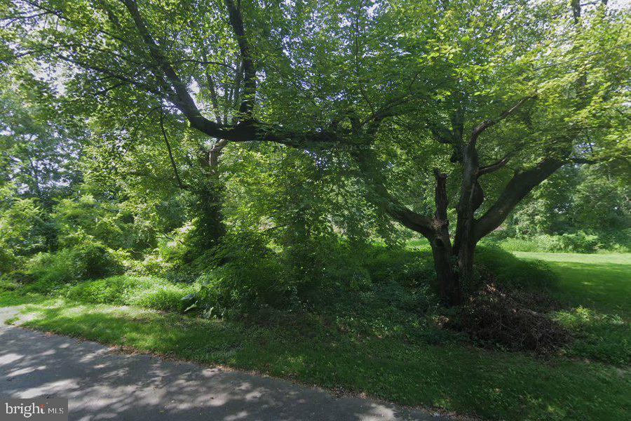 ROSEVILLE PARK - Land