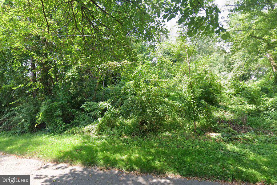 ROSEVILLE PARK - Land