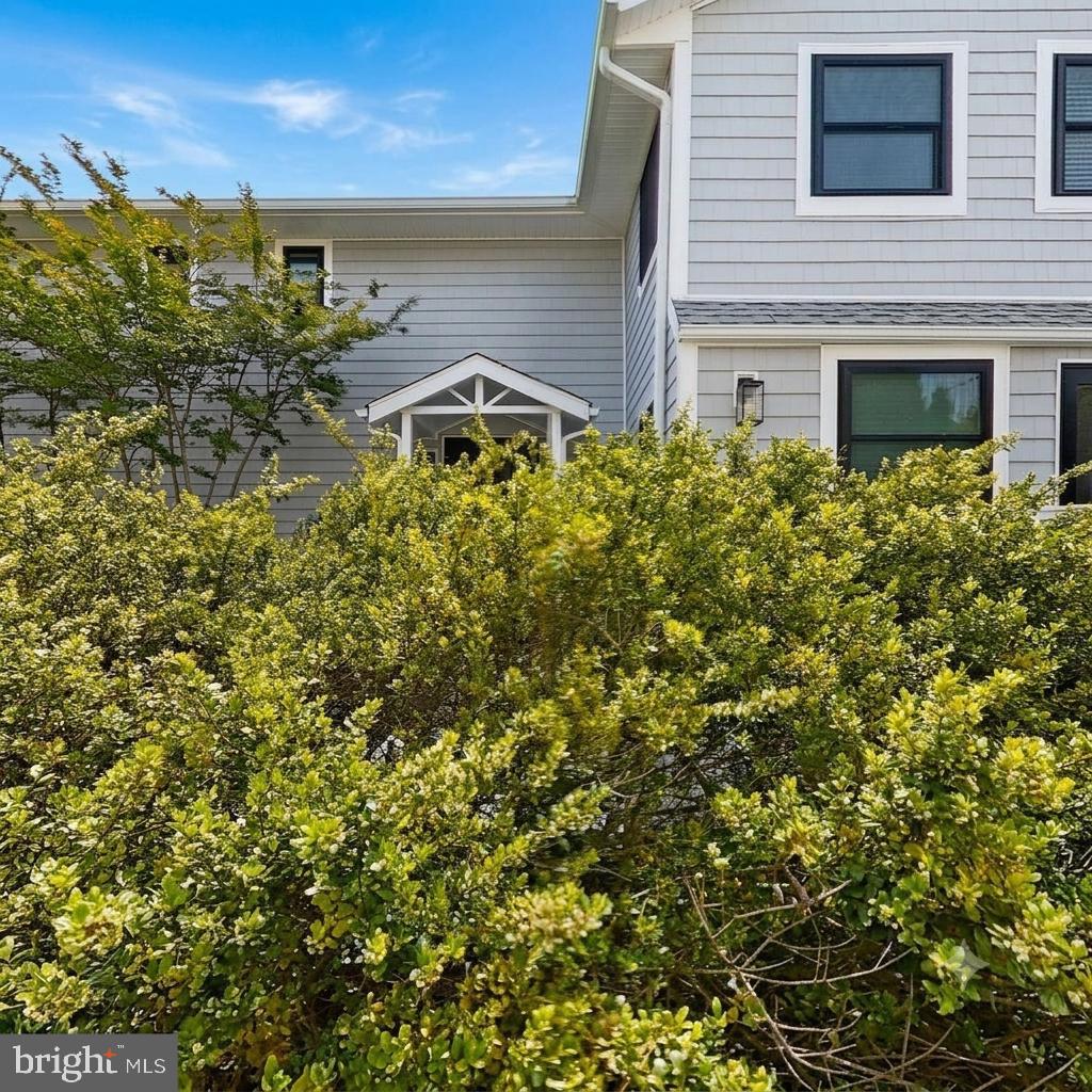 CAINE WOODS - Residential