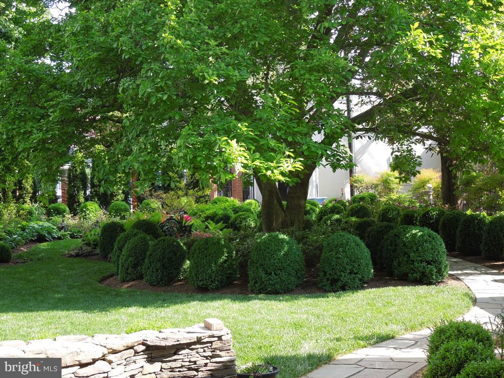 HISTORIC FREDERICK CITY - Residential
