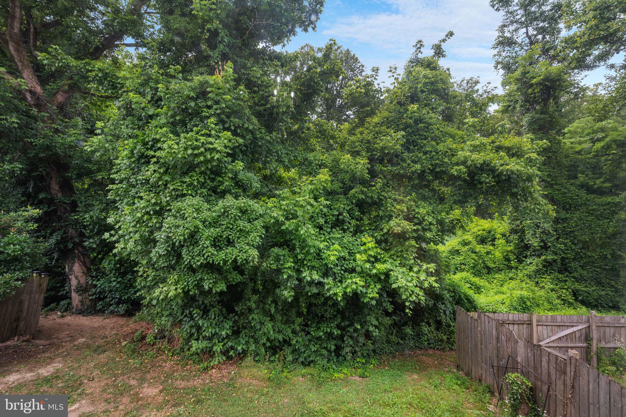 LONDON WOODS - Residential