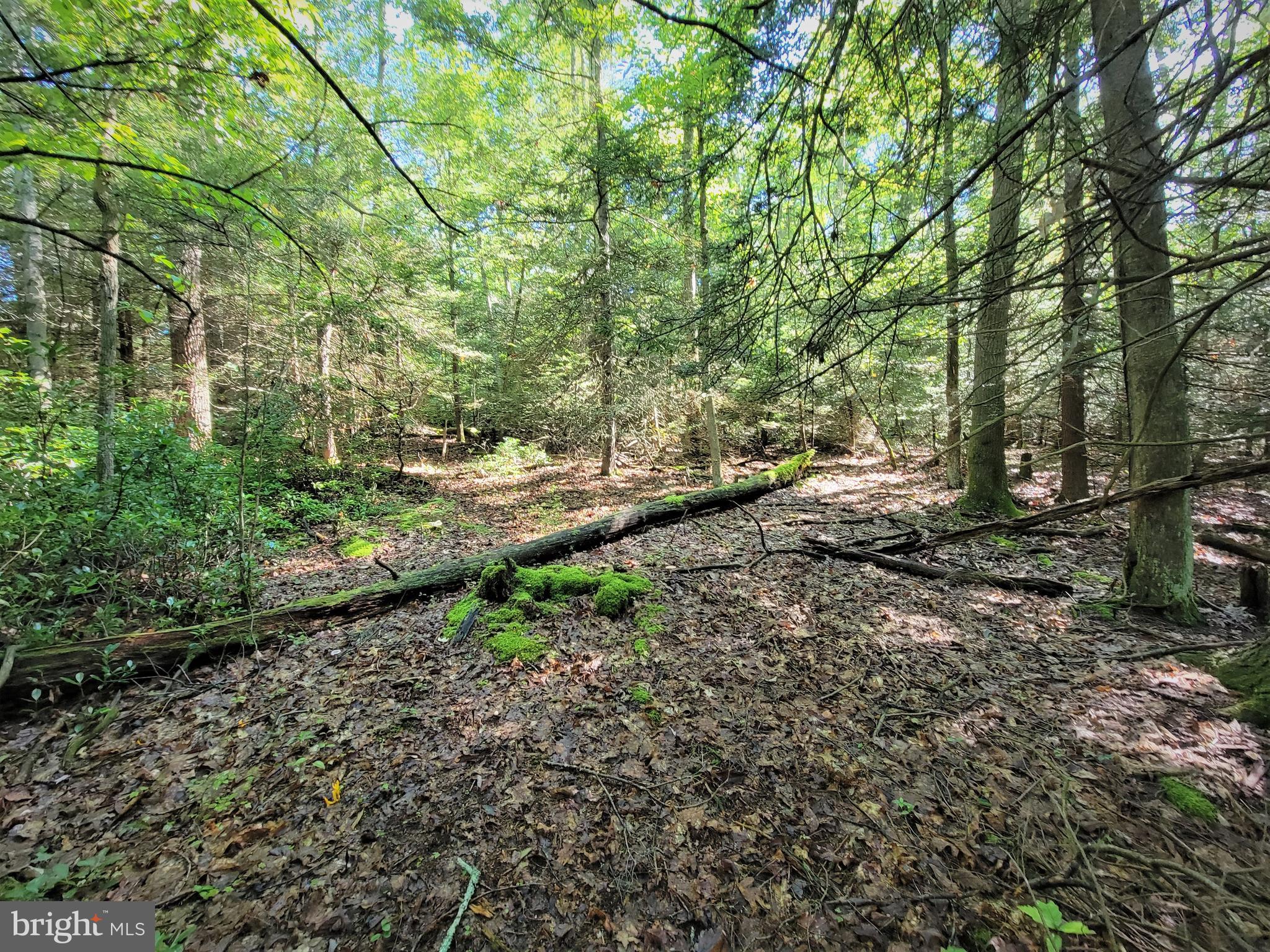 HEMLOCK ACRES I - Land