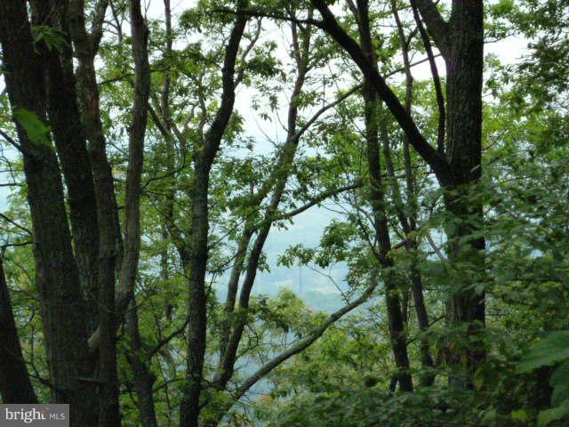SHANNONDALE - Land