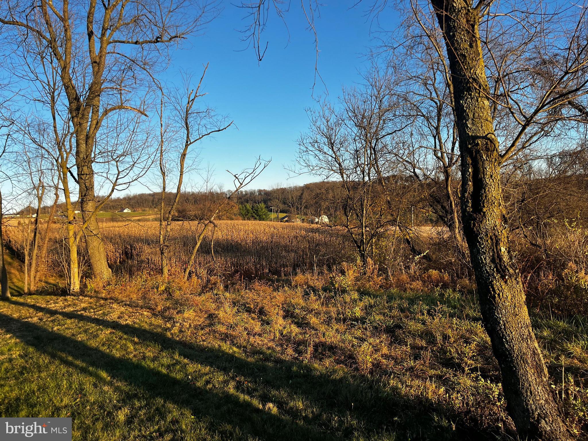 3.2+/- Acres of commercially zoned land. Parcel is not far from Route 80 along Route 254 in Montour County. Road frontage with an access point off the road. Could be a nice spot for business or possibly homesite.