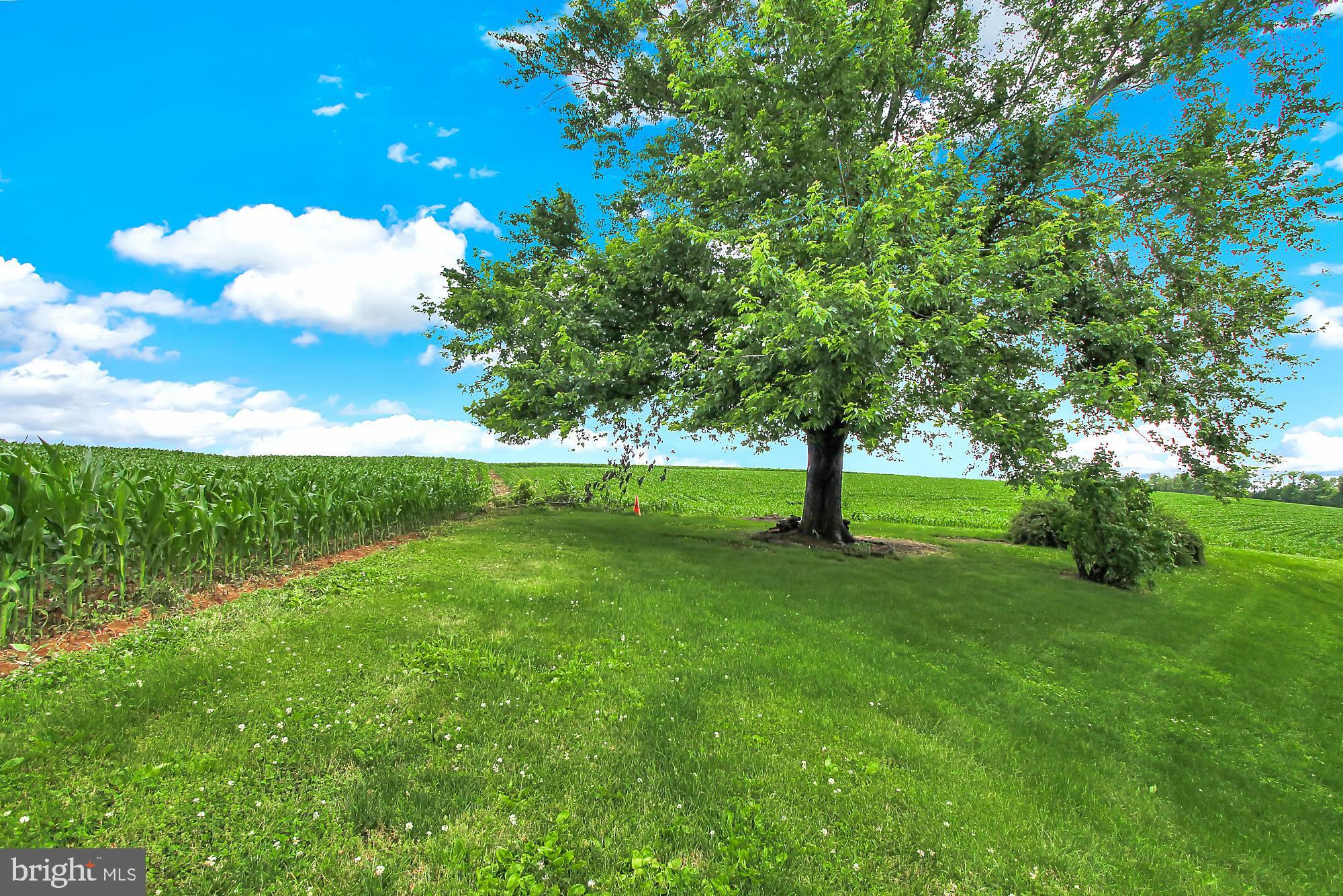 MYERSTOWN AREA - Residential