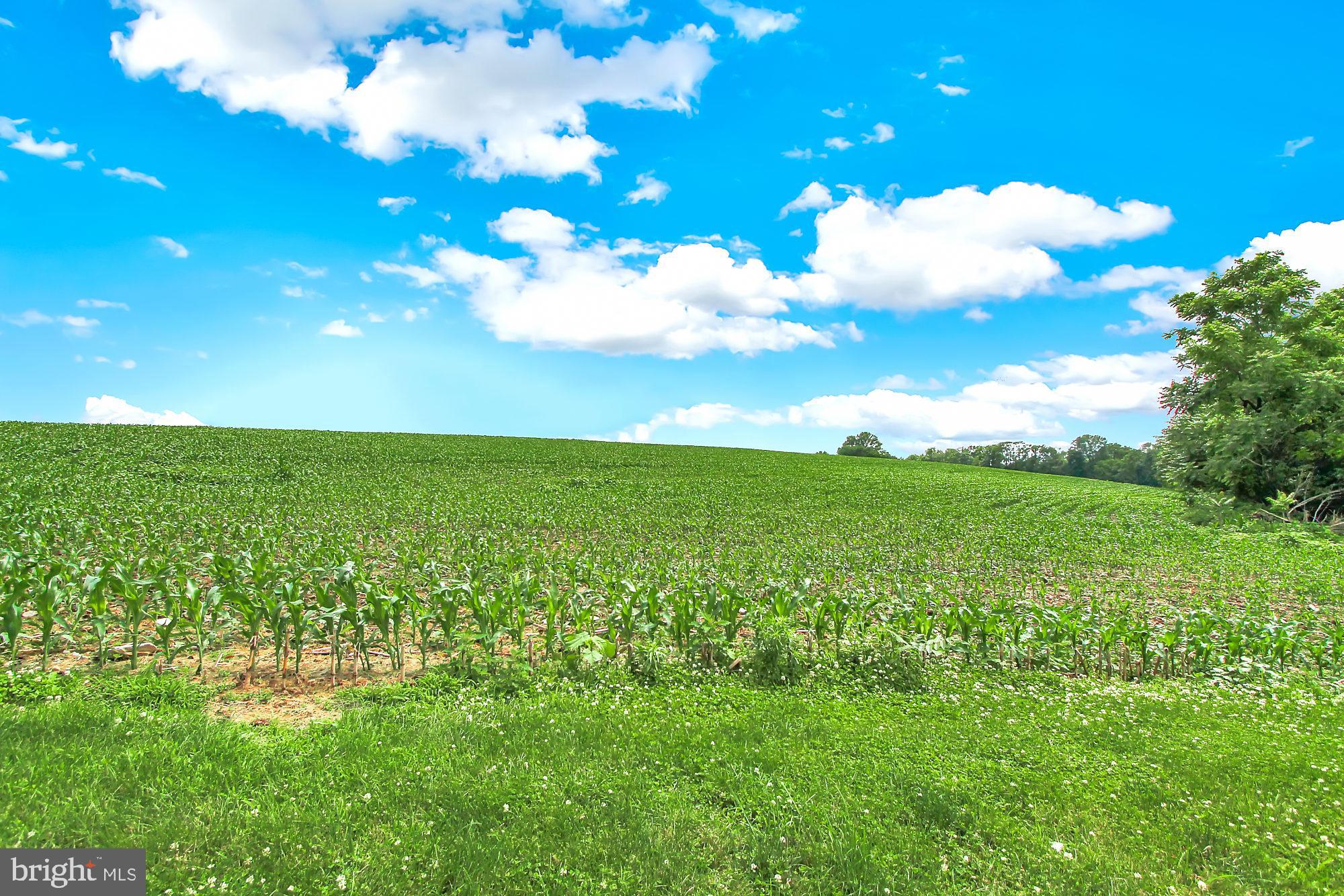 MYERSTOWN AREA - Residential